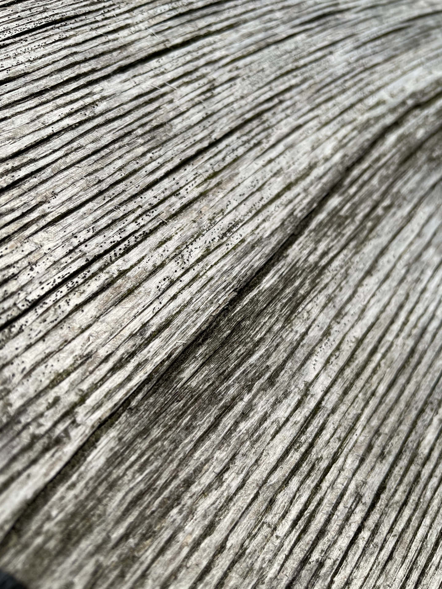 A Close Up Of A Wooden Table With A White Background