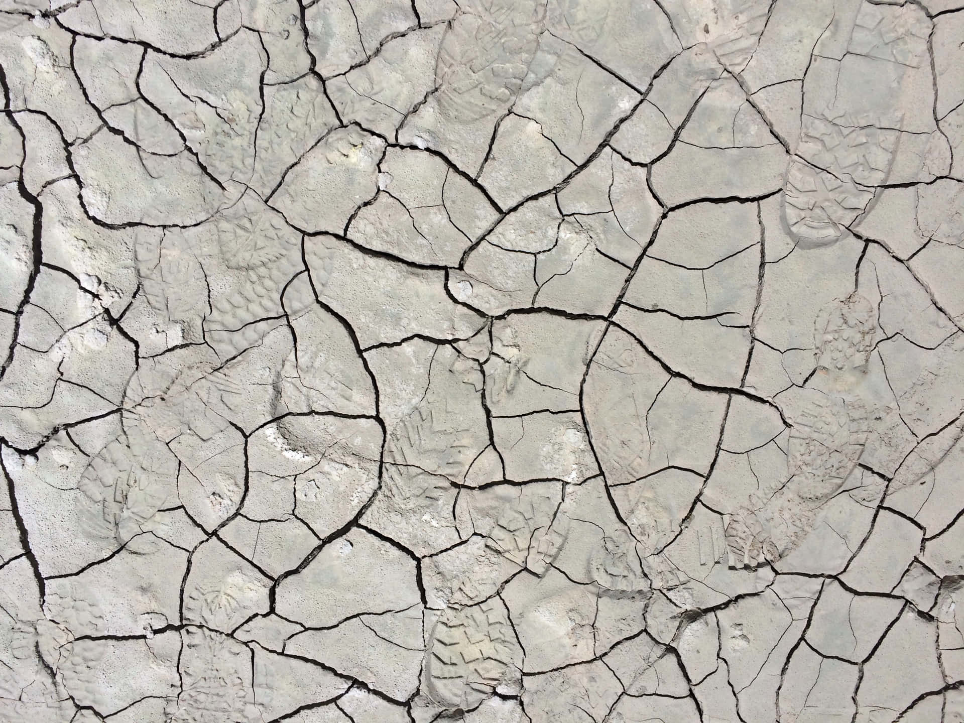 Cracked Dry Soil Background Photo