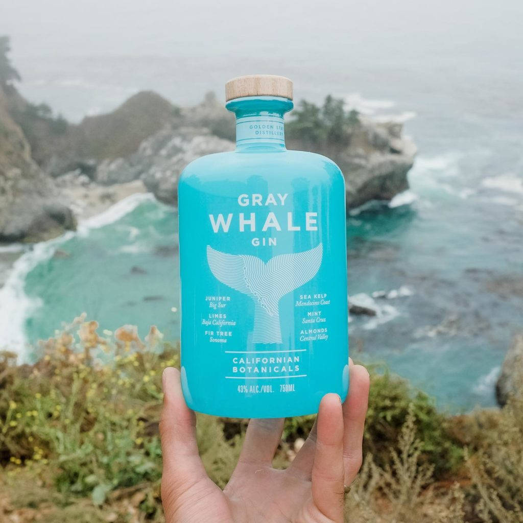 Gray Whale Gin Aesthetic View Wallpaper