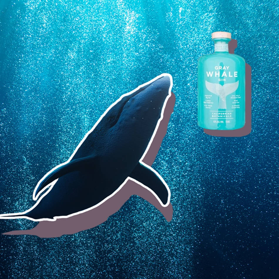 Gray Whale Gin Alcohol Wallpaper