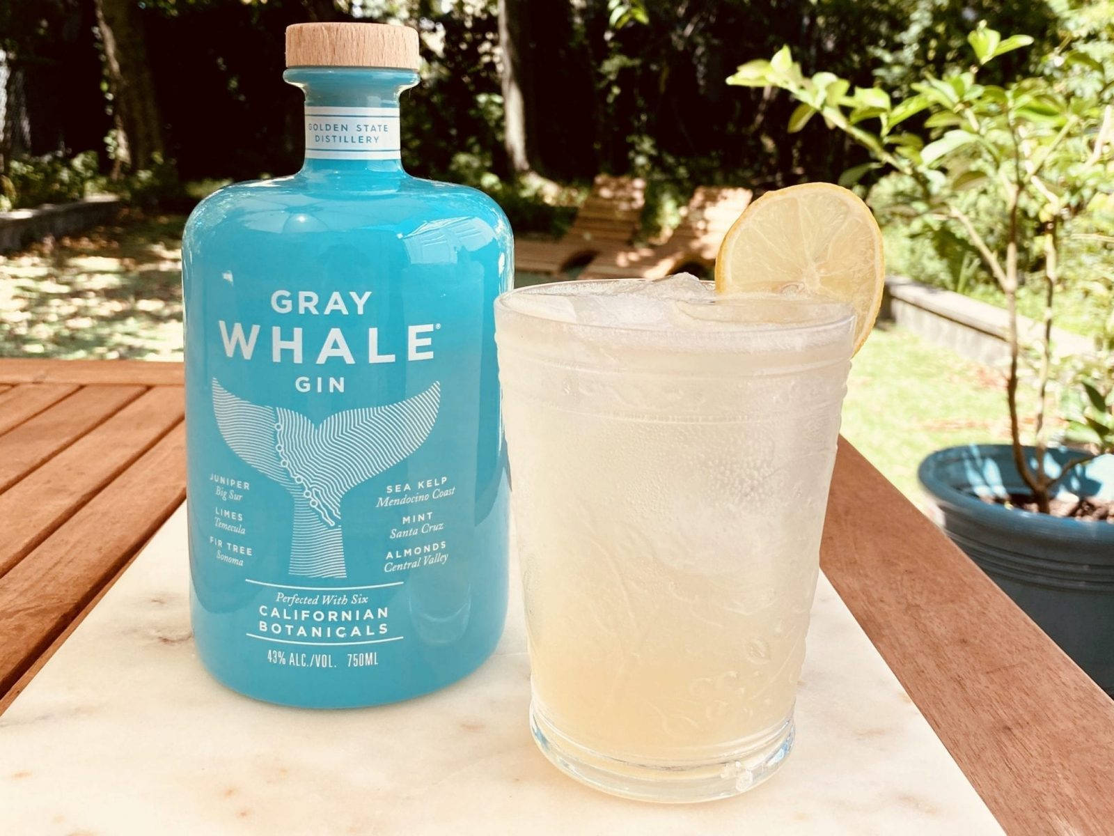 Invigorating Gray Whale Gin Cocktail Wallpaper