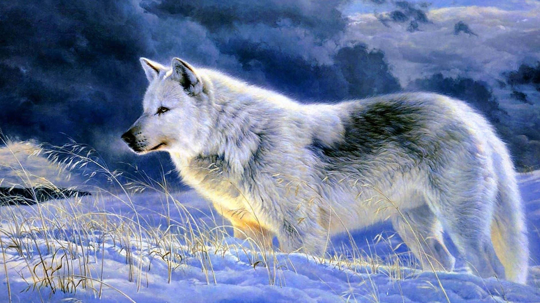 Majestic Gray Wolf in Natural Habitat Wallpaper