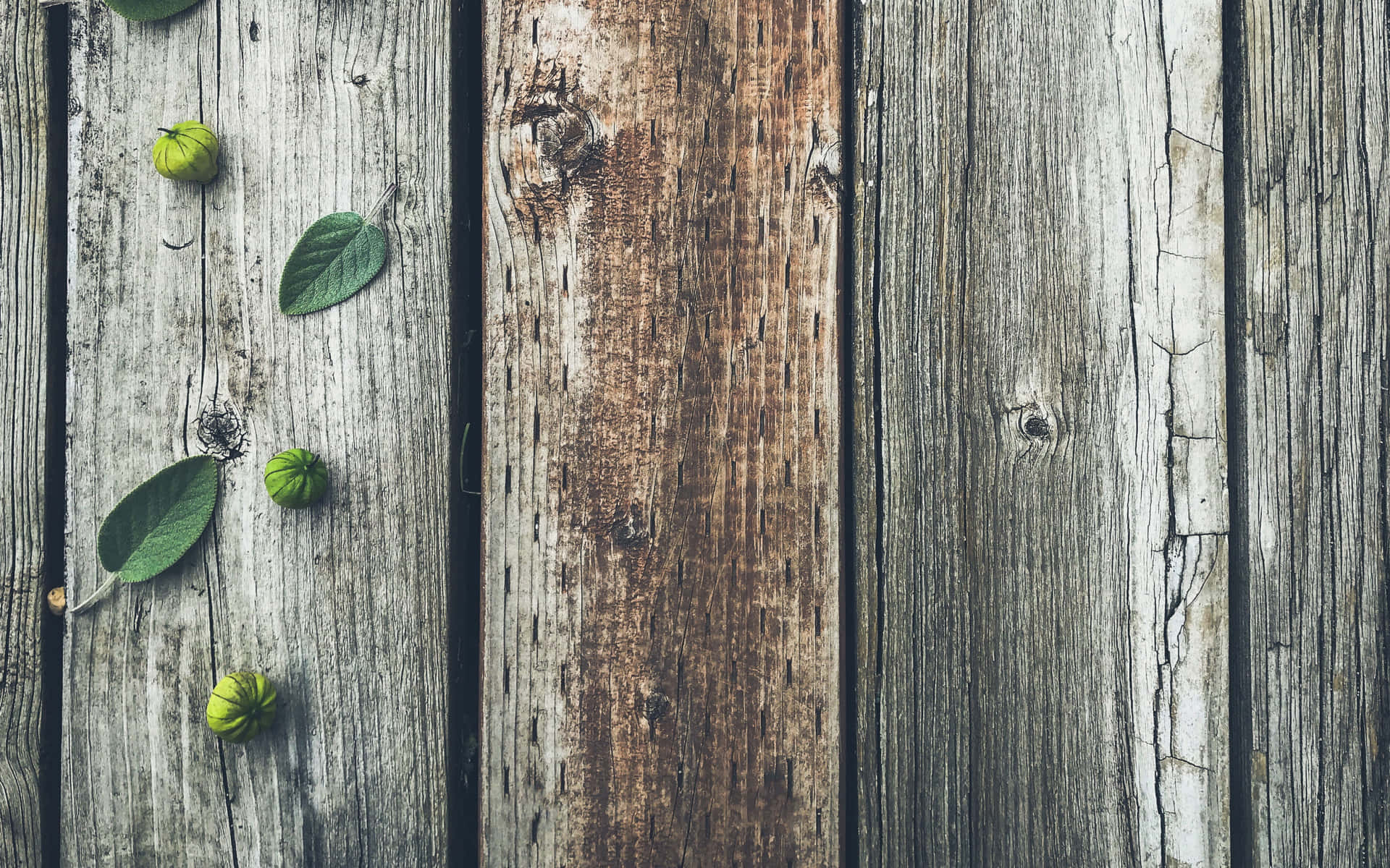 Cool Gray Wood Background