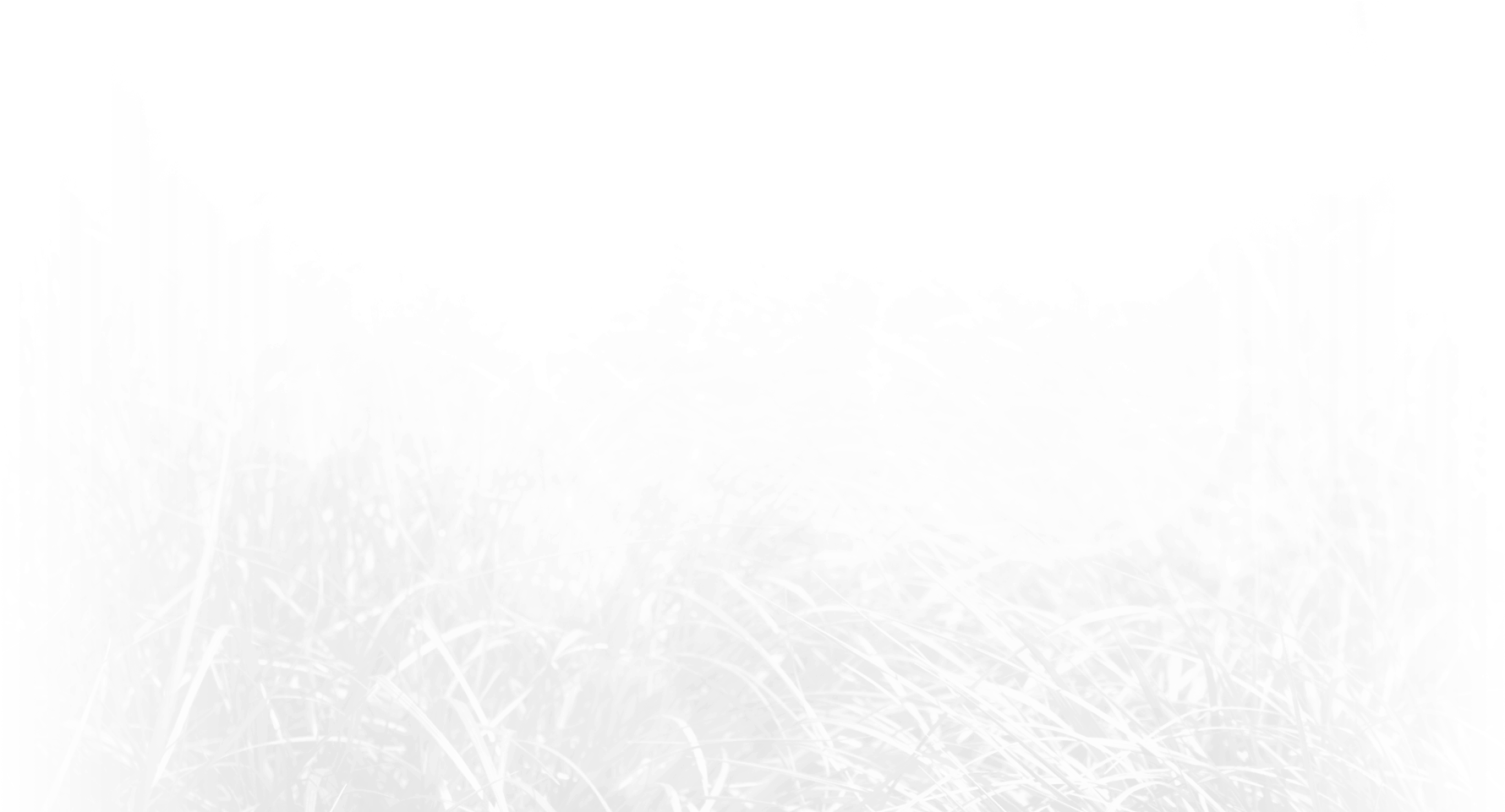 Grayscale Grass Field Texture PNG