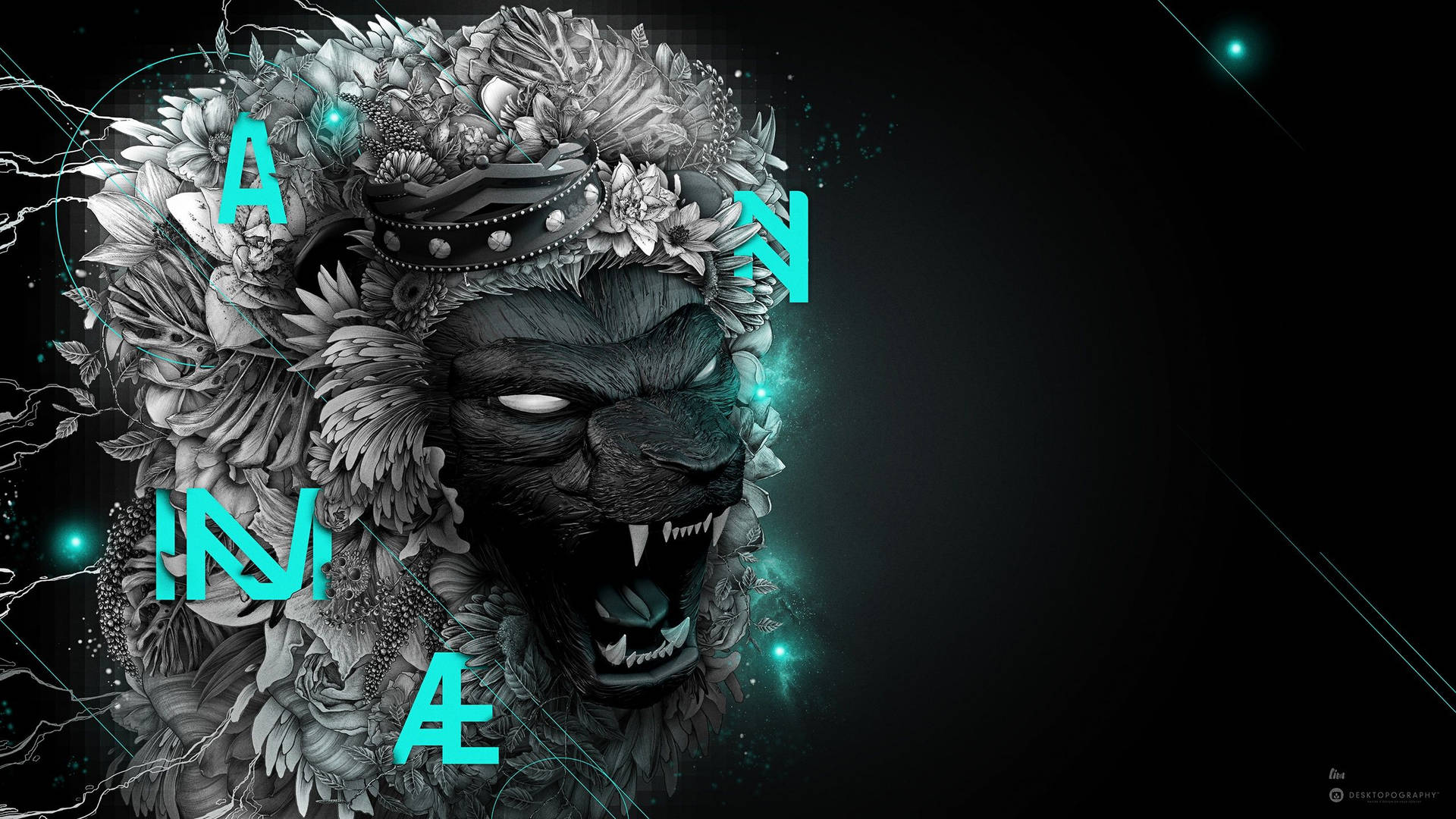 Grayscale Lion For 1440p Gaming Background Wallpaper
