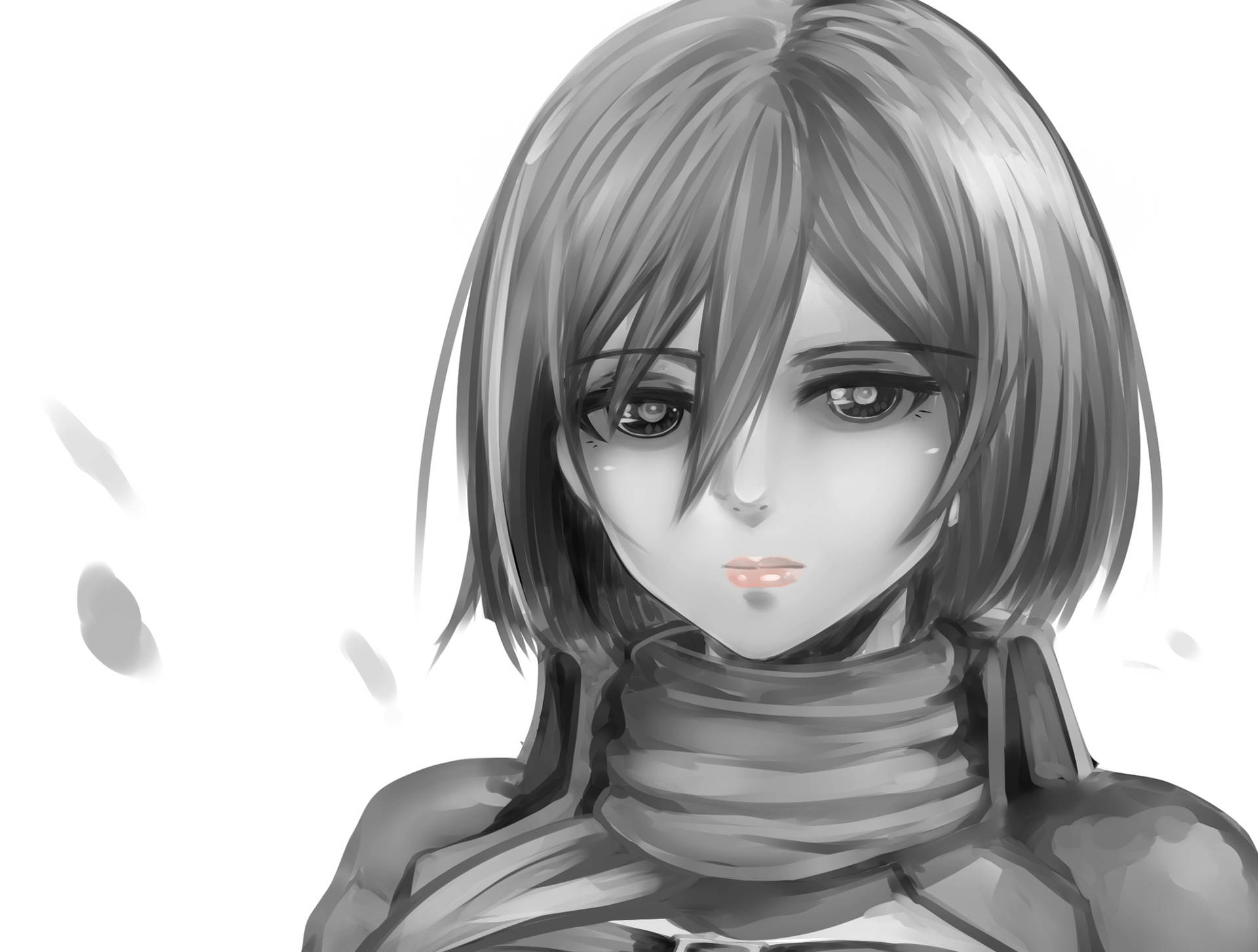 Artefofa Da Mikasa Em Tons De Cinza. Papel de Parede