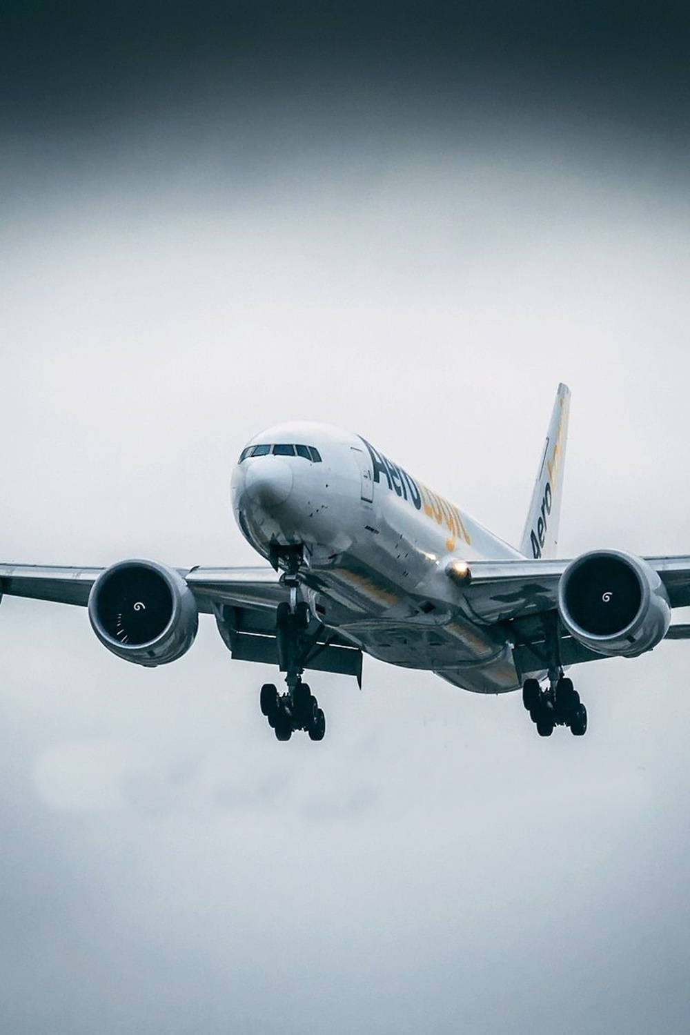 Grauweißesfoto Eines Flugzeugs Für Android Wallpaper
