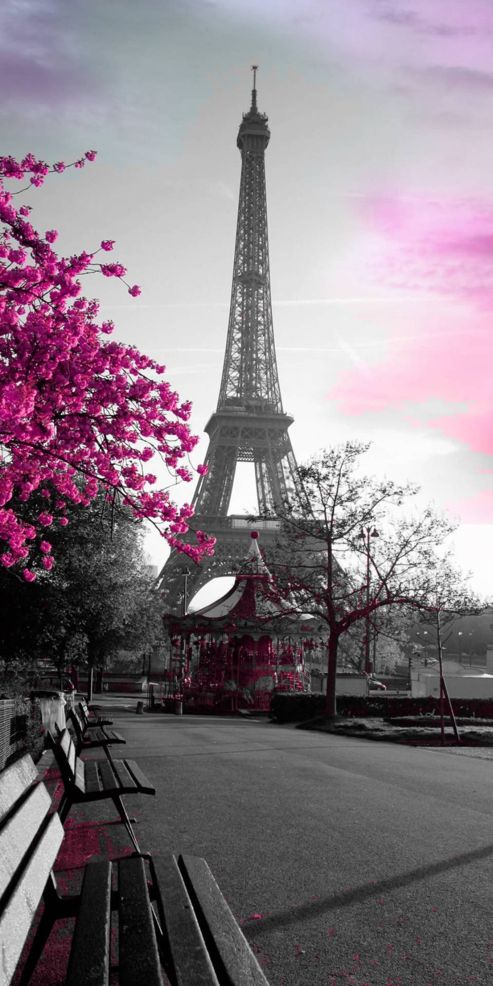 Grayscale Pink Paris Wallpaper Wallpaper