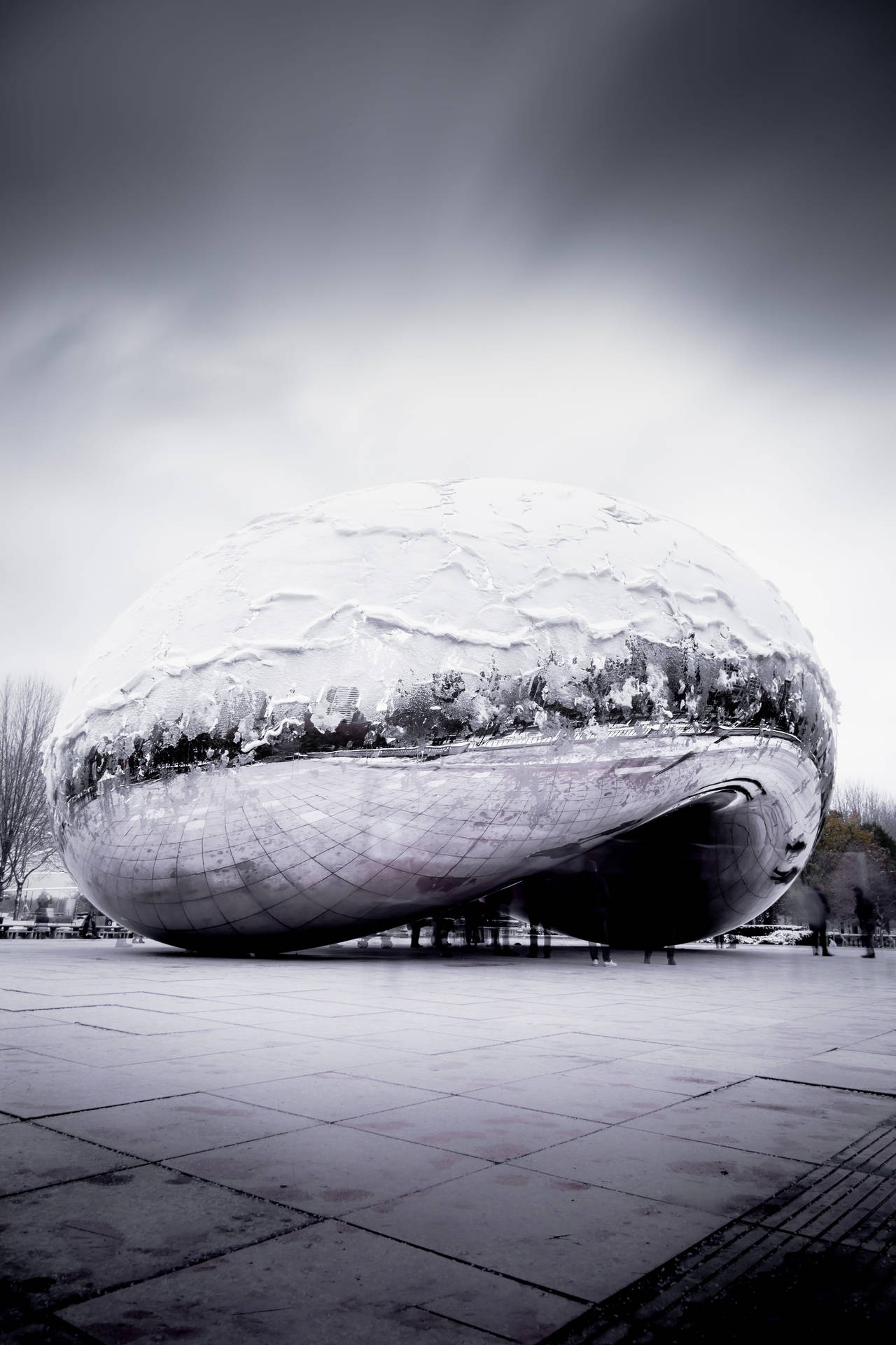 Grayscale The Bean Chicago Wallpaper