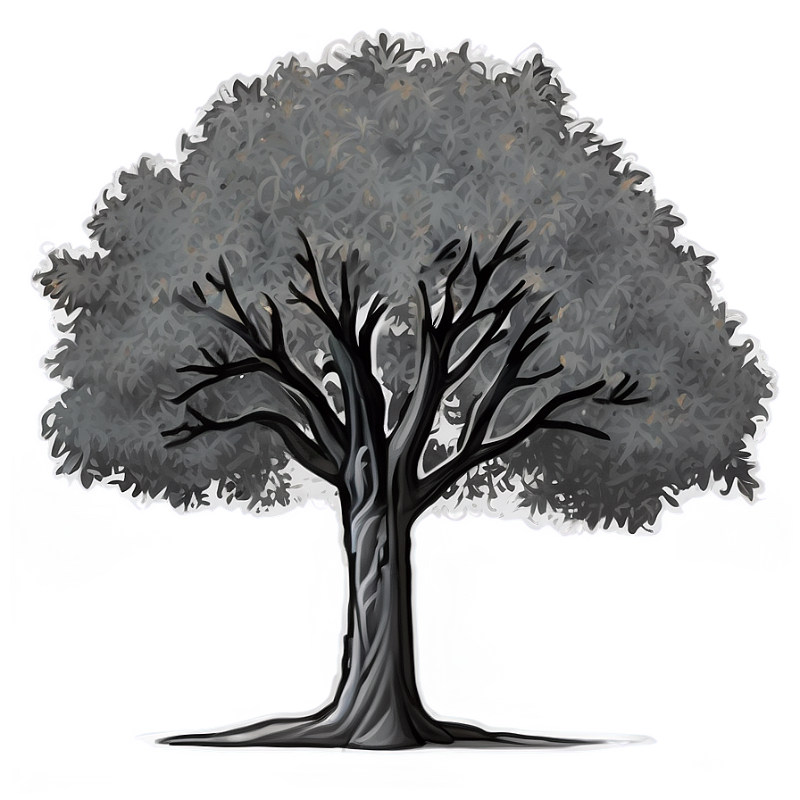 Grayscale Tree Outline Png 06252024 PNG