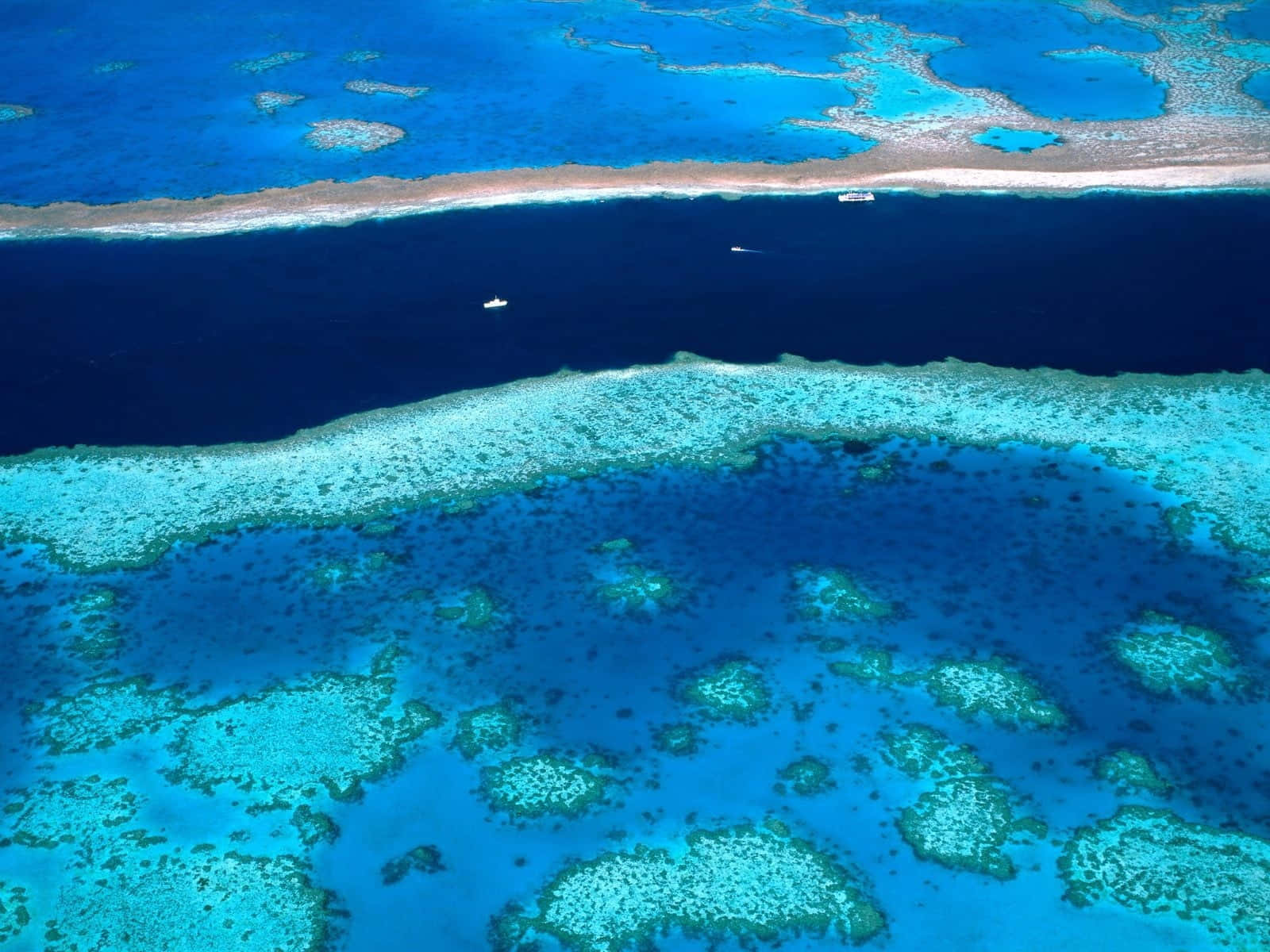 Download Great Barrier Reef Aerial View Wallpaper | Wallpapers.com