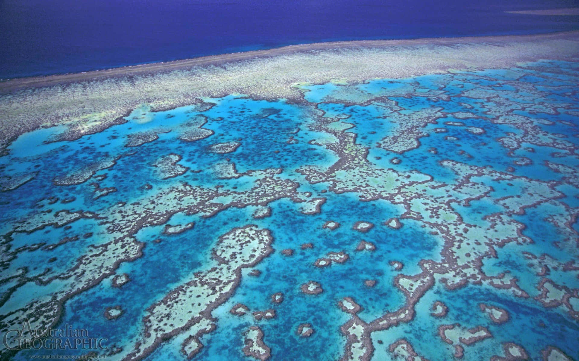 Islasdel Parque Marino De La Gran Barrera De Coral Fondo de pantalla