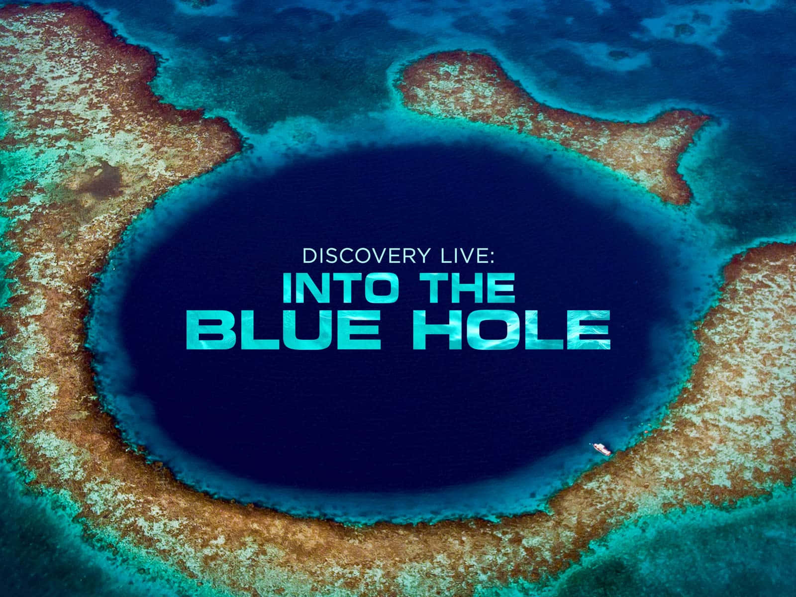 Download Great Blue Hole Discovery Live Wallpaper 