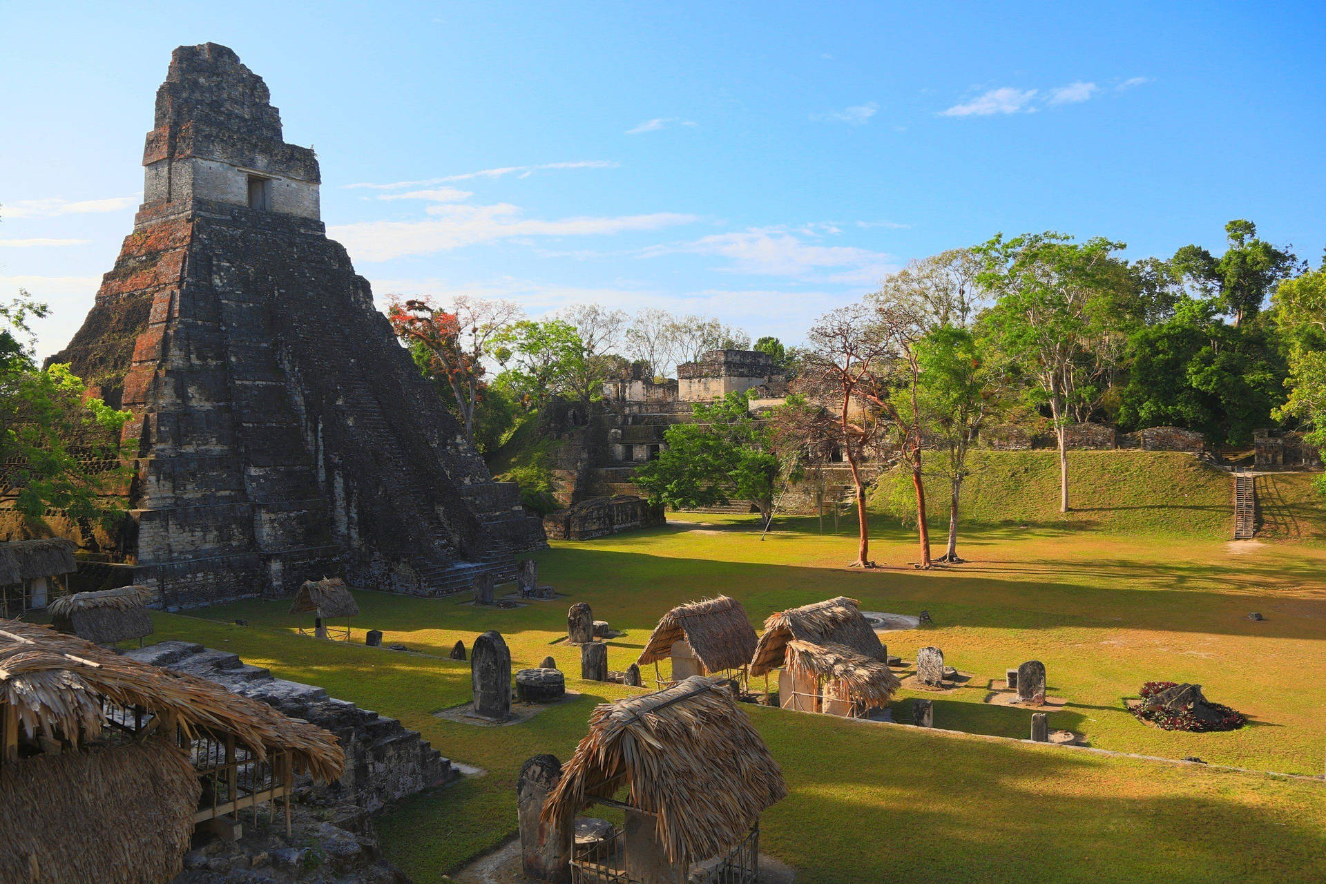 Fantastisk Jaguar Tikal Temple Guatemala tapet Wallpaper