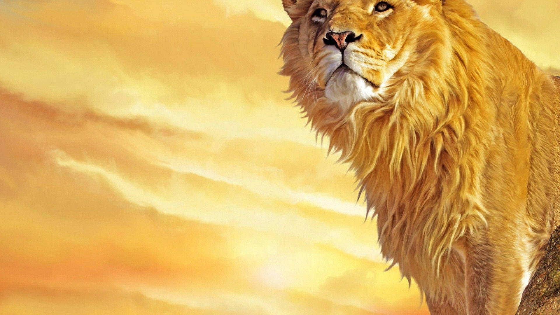 Great Lion Wallpaper