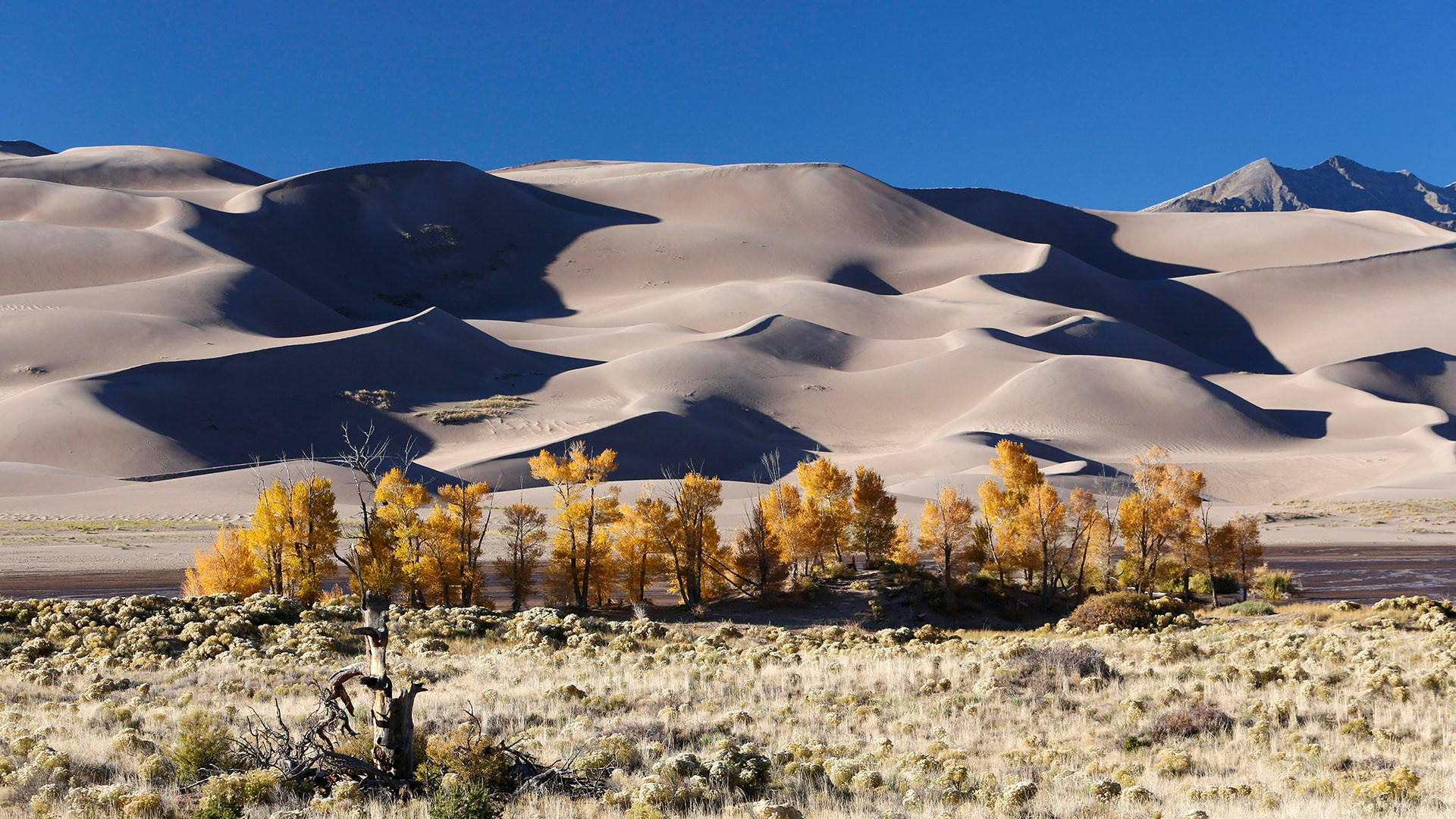 Great Sand Dunes Colorado Wallpaper
