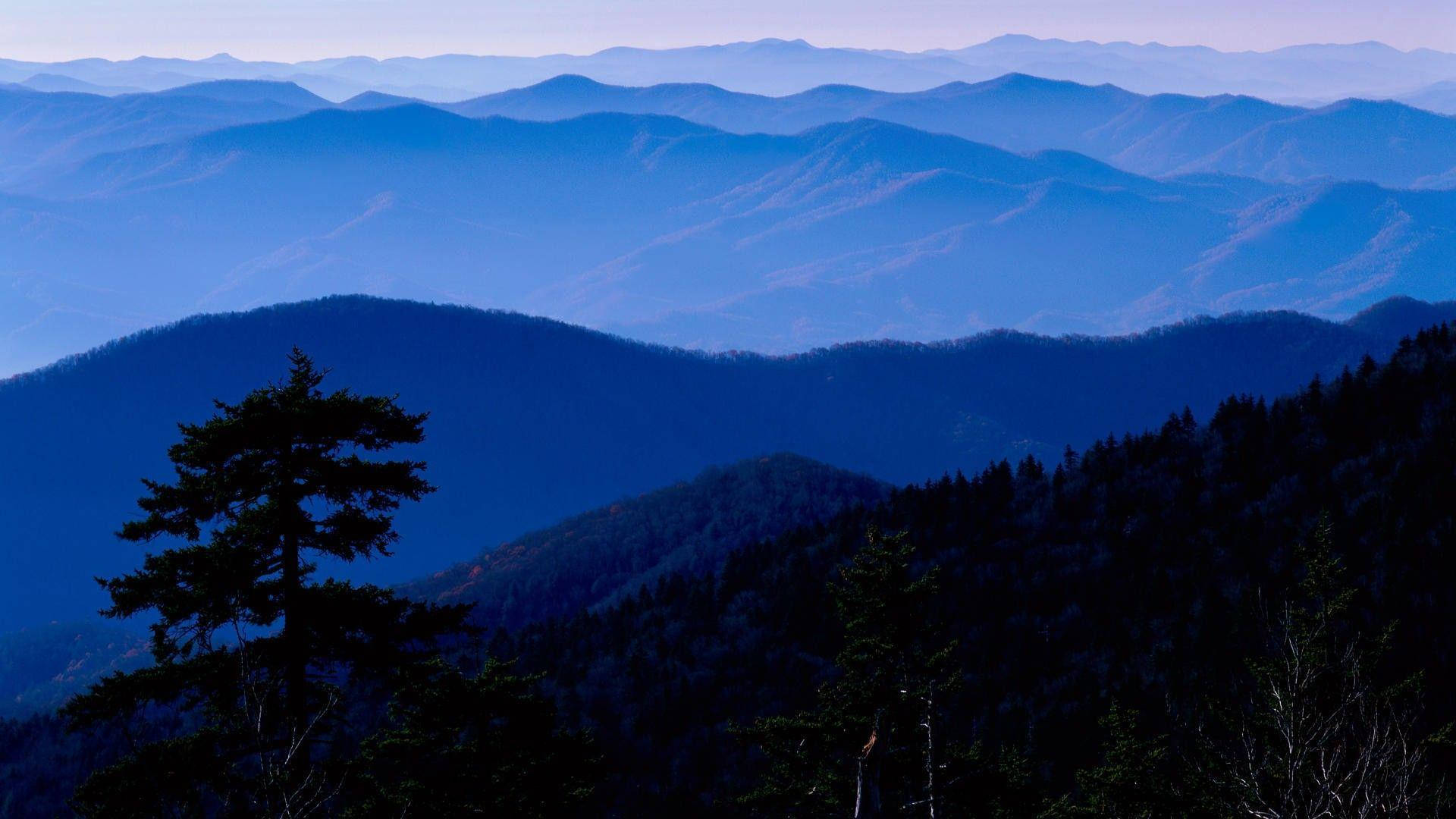 Tag på en rejse gennem den majestætiske natur i Great Smoky Mountains. Wallpaper