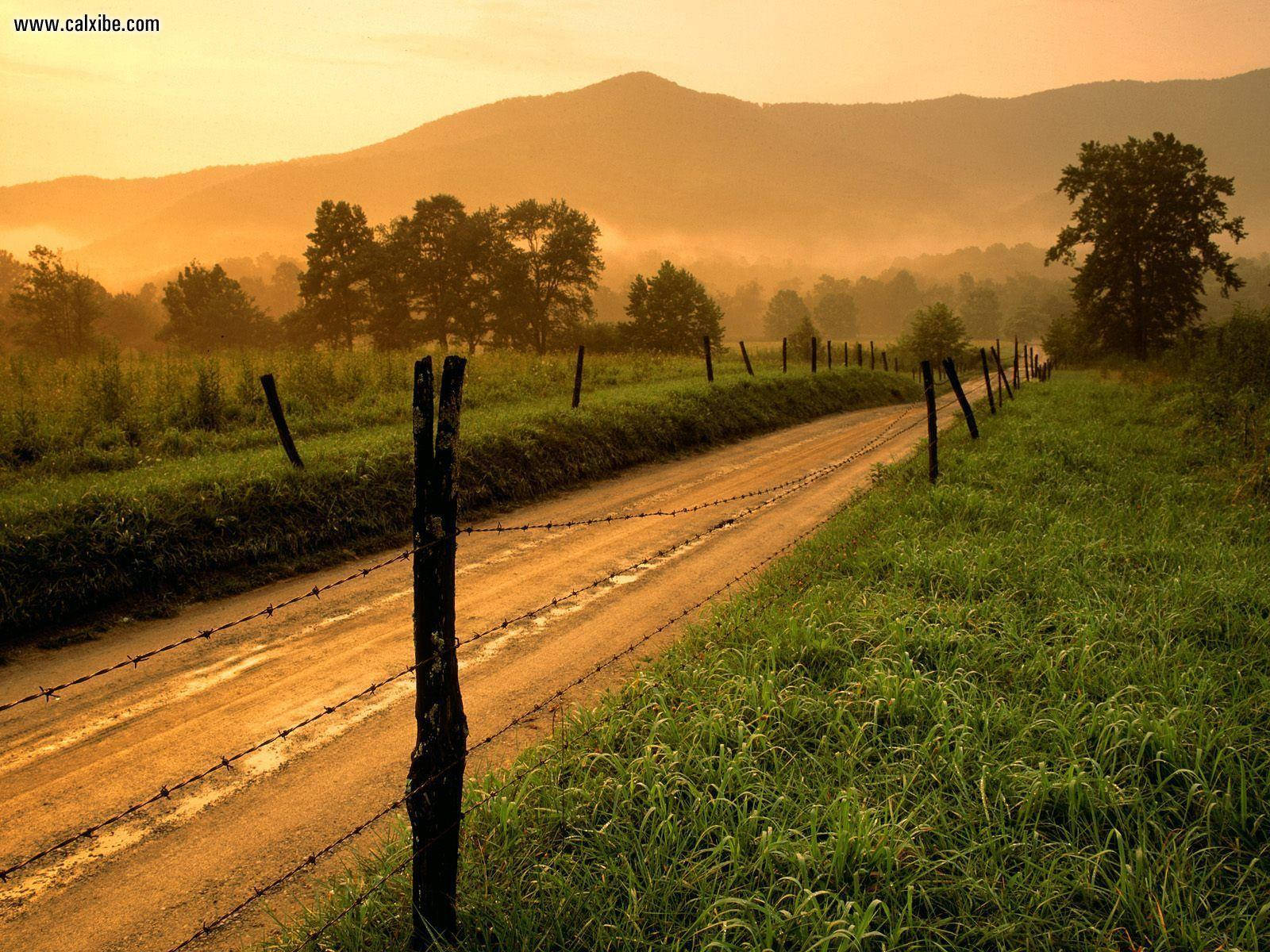Beundre den smukke naturlige skønhed i Tennessees Great Smoky Mountains. Wallpaper