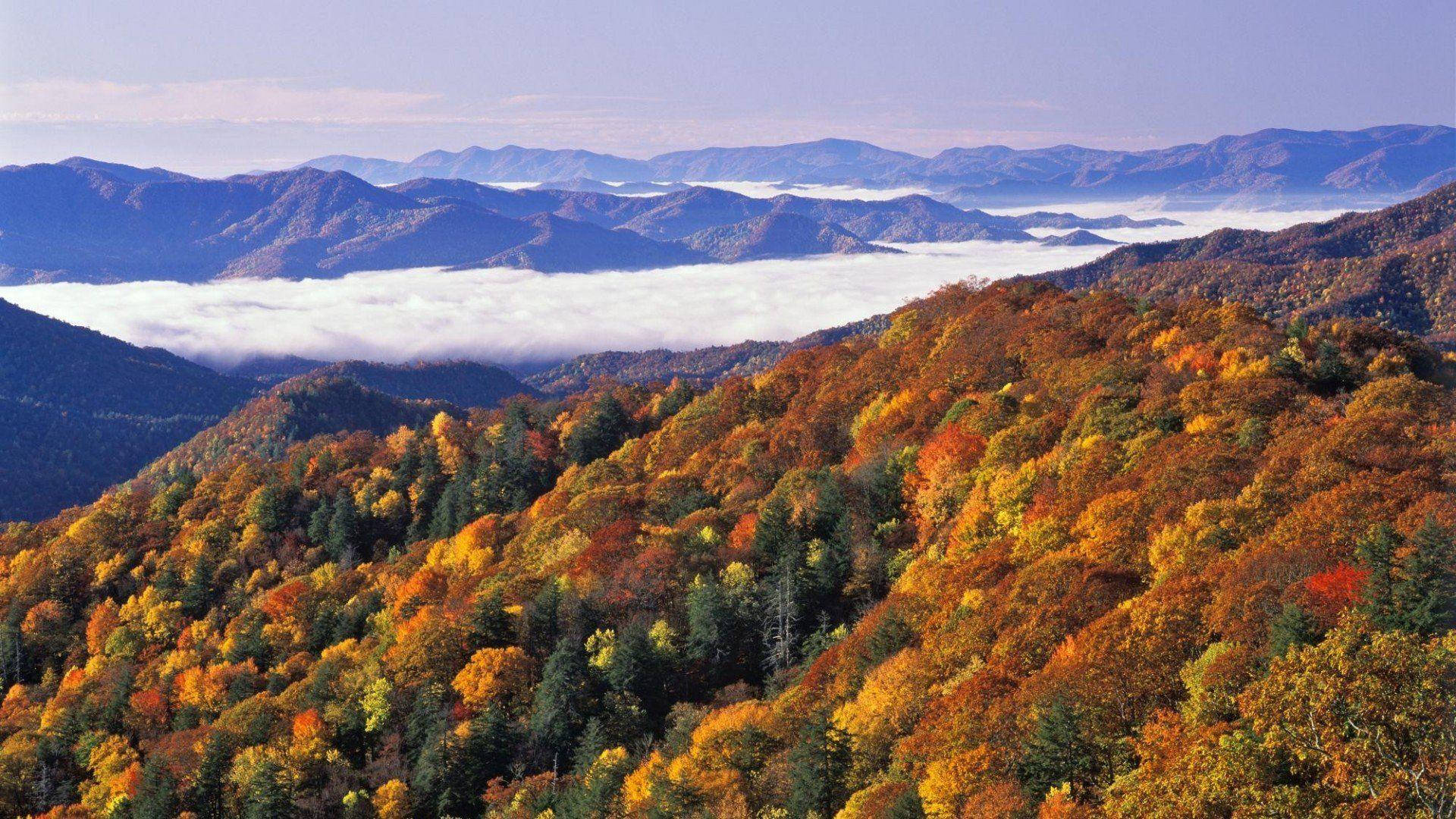 Great Smoky Mountains With Blue Sky Wallpaper