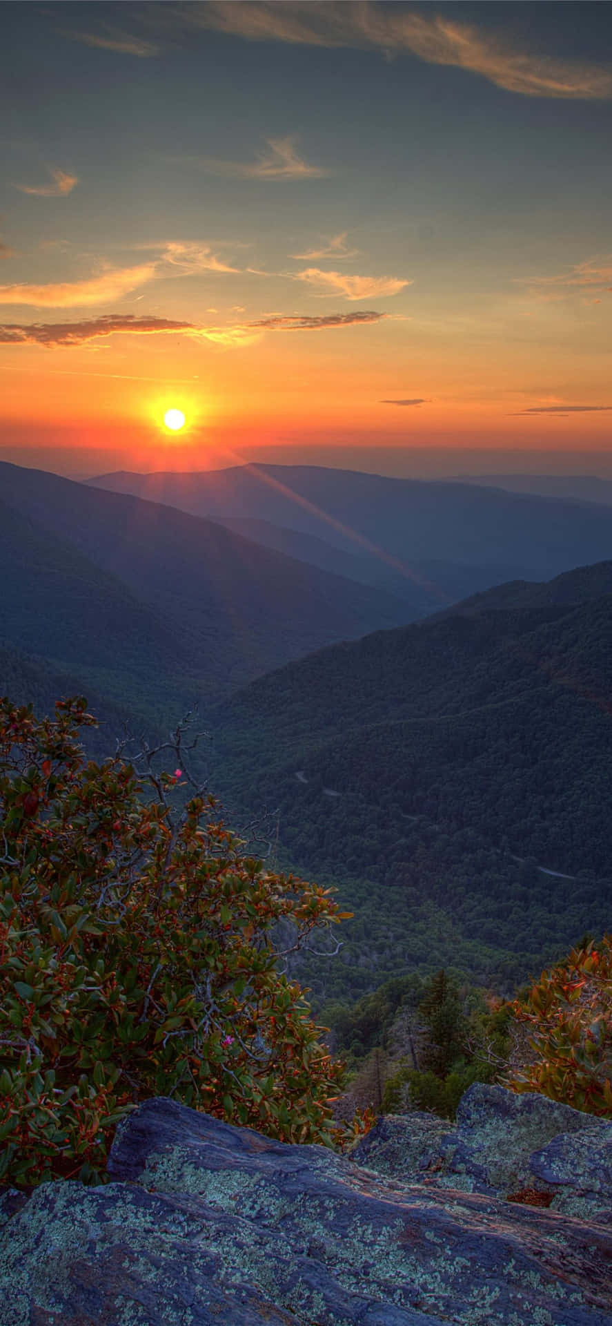 Great Smoky Mountains National Park Golden Sun Wallpaper