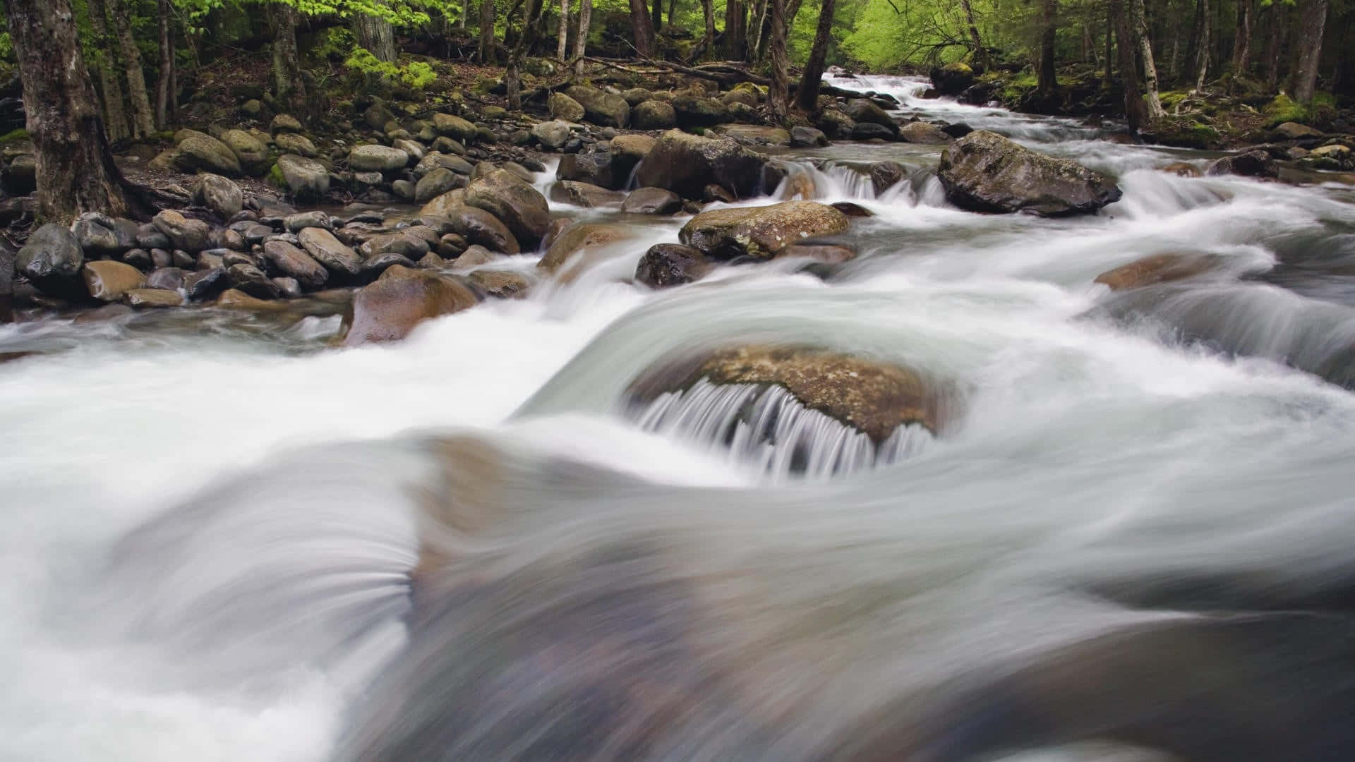 Great Smoky Mountains National Park River Flowing Wallpaper