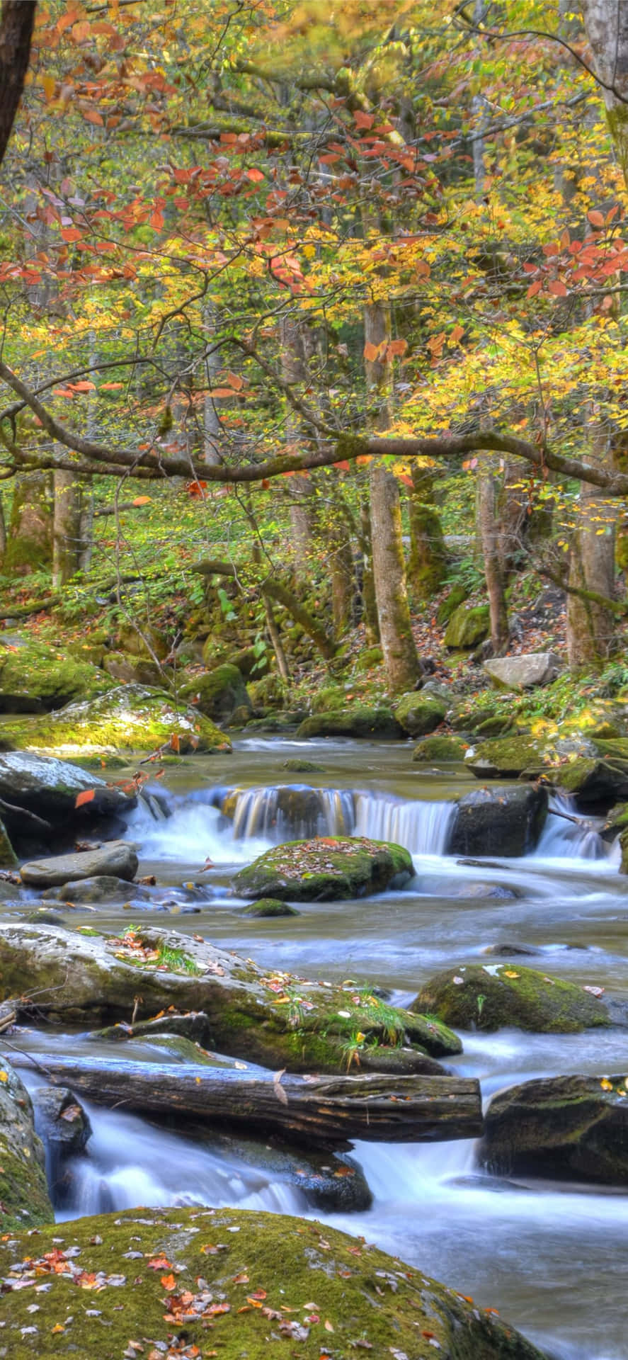 Great Smoky Mountains National Park River Rocky Wallpaper