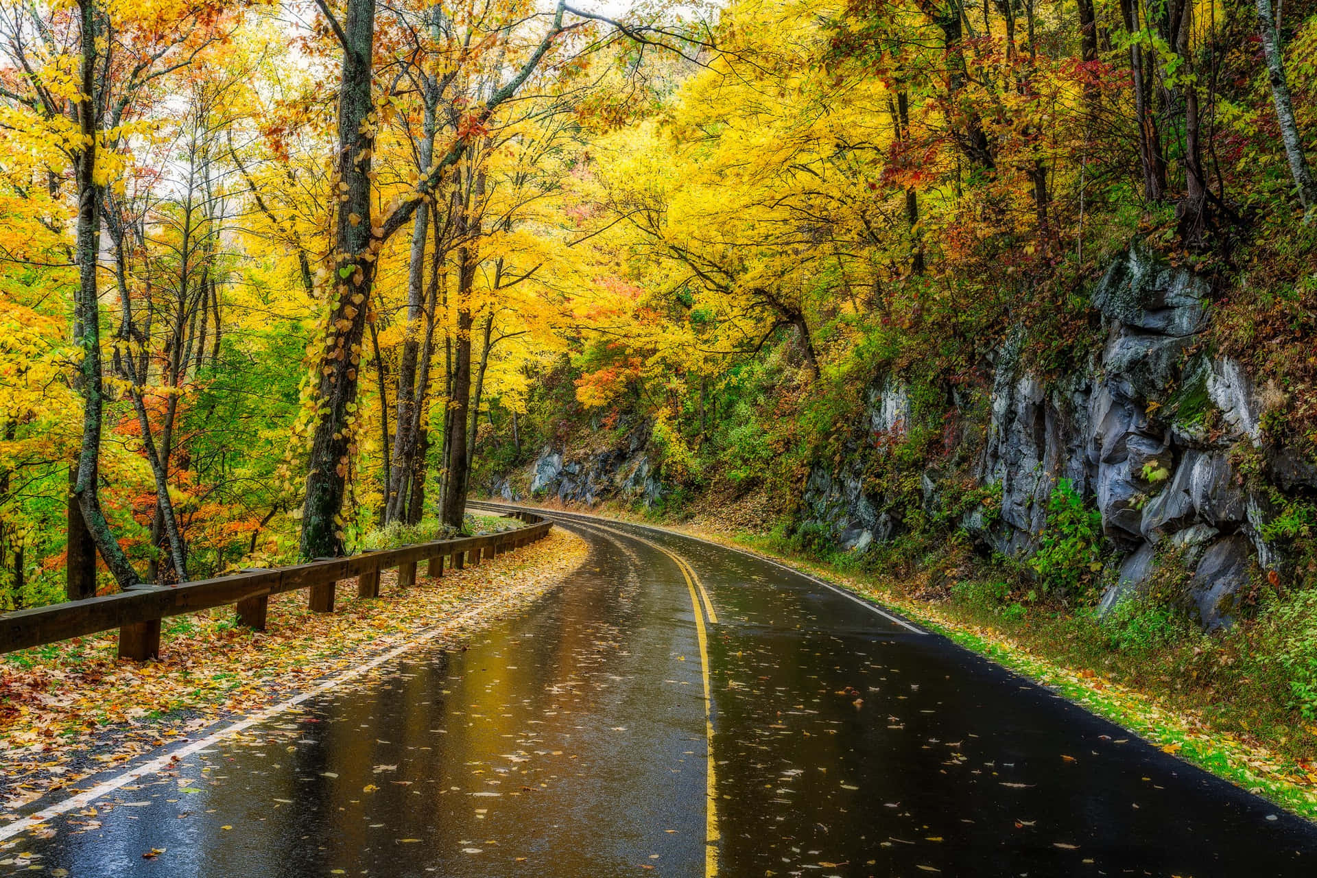 Great Smoky Mountains National Park Road Wallpaper