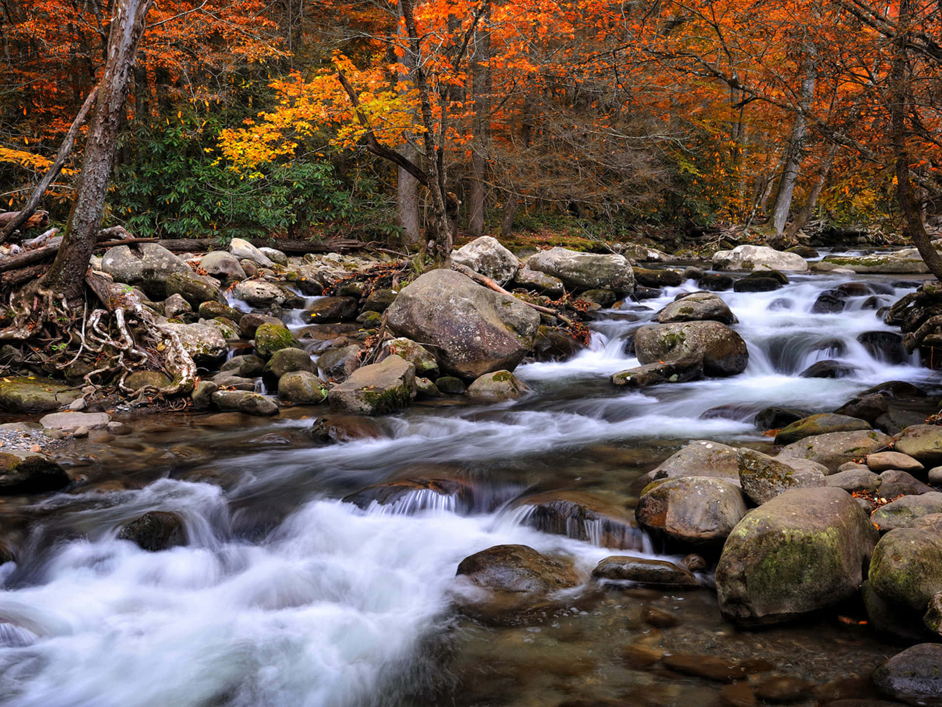 Great Smoky Mountains National Park Rocky Wallpaper