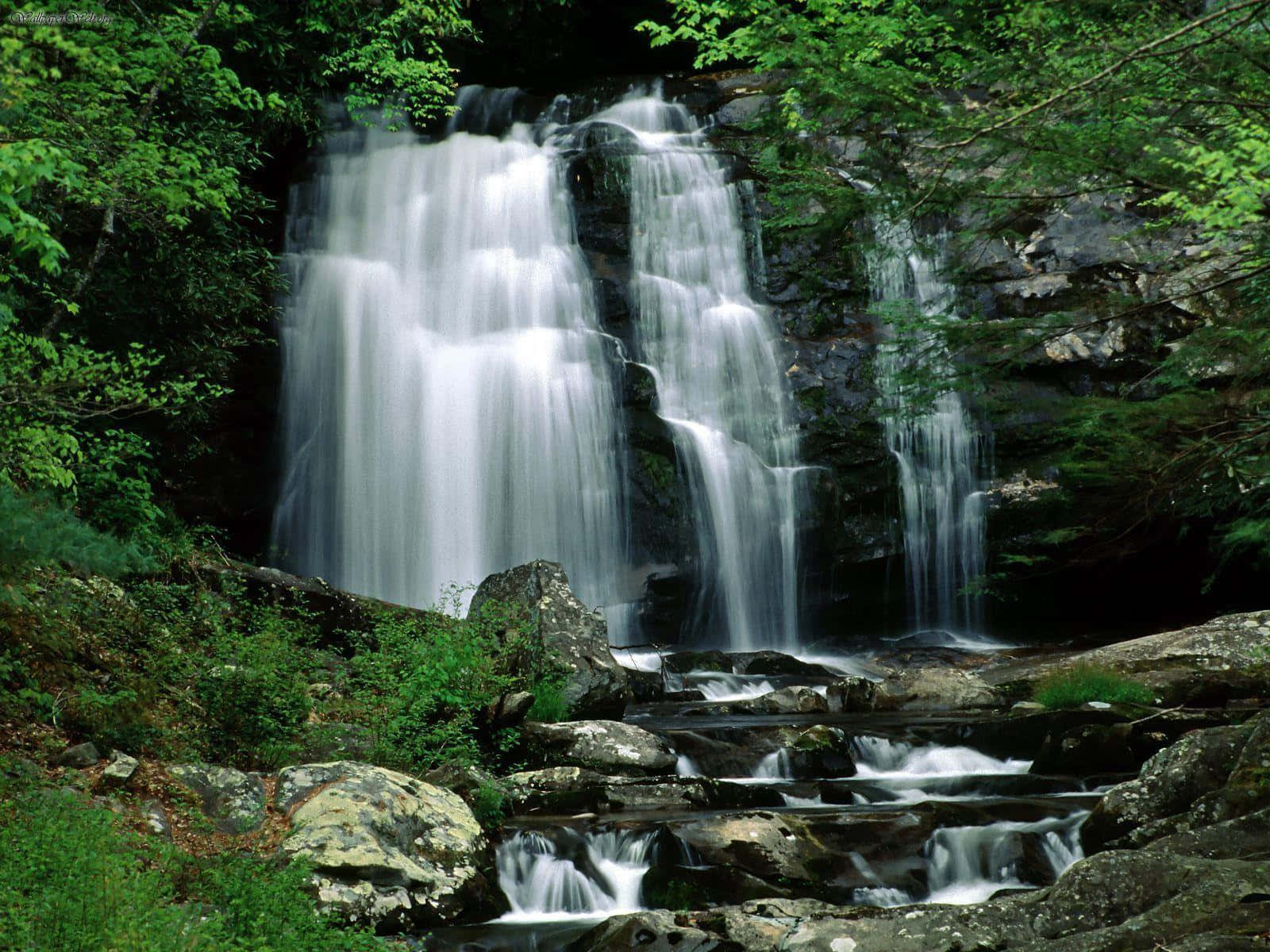 Great Smoky Mountains National Park Streams Wallpaper
