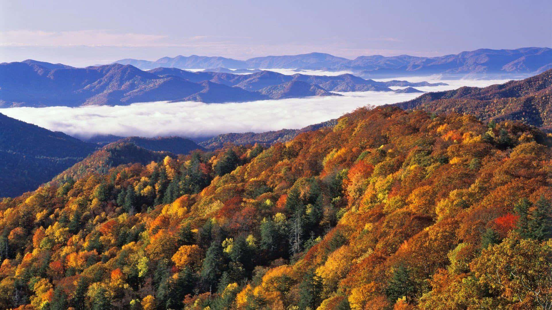 Great Smoky Mountains National Park View Wallpaper