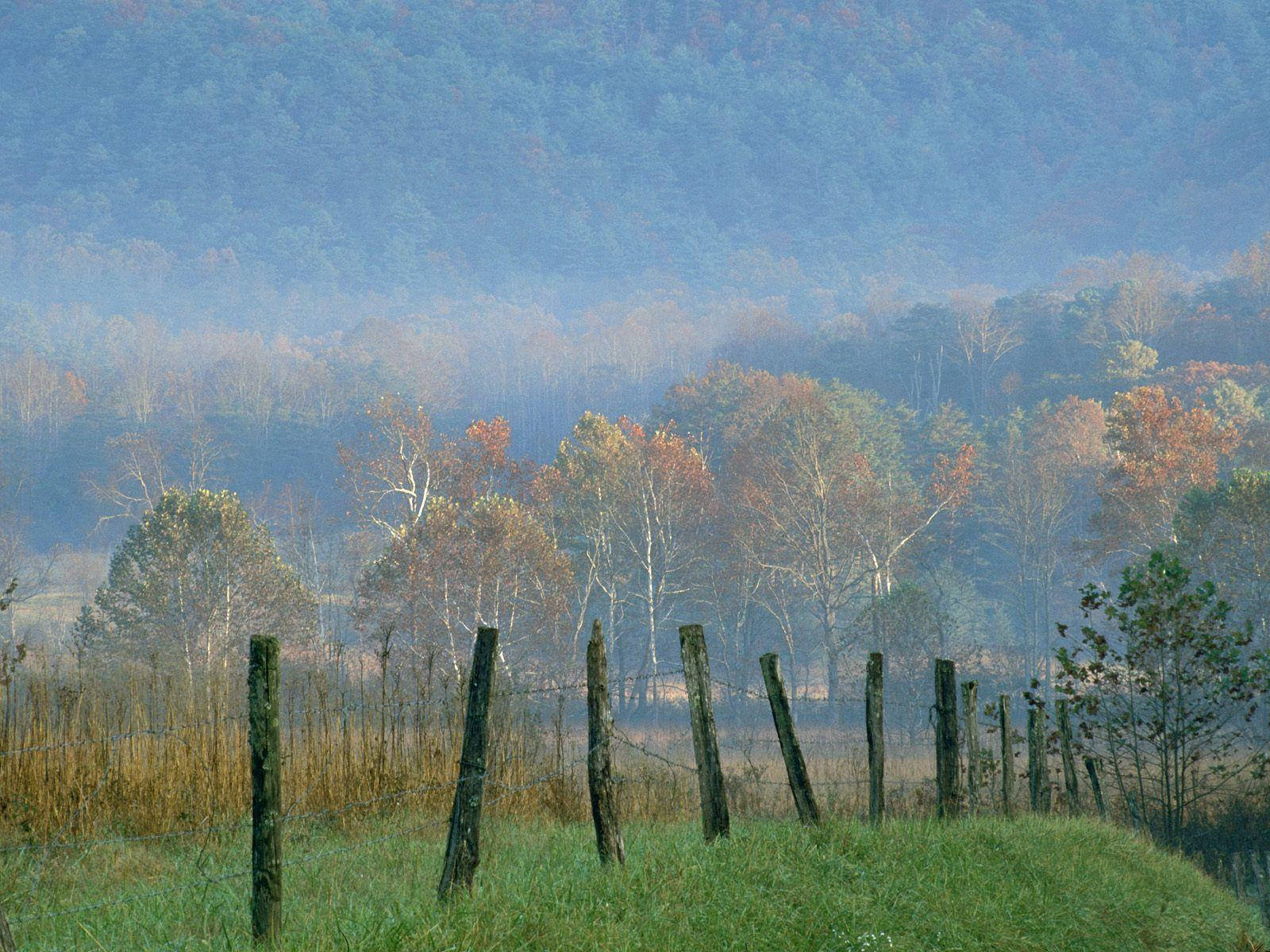 Wooden Fences Within The Great Smoky Mountains Wallpaper