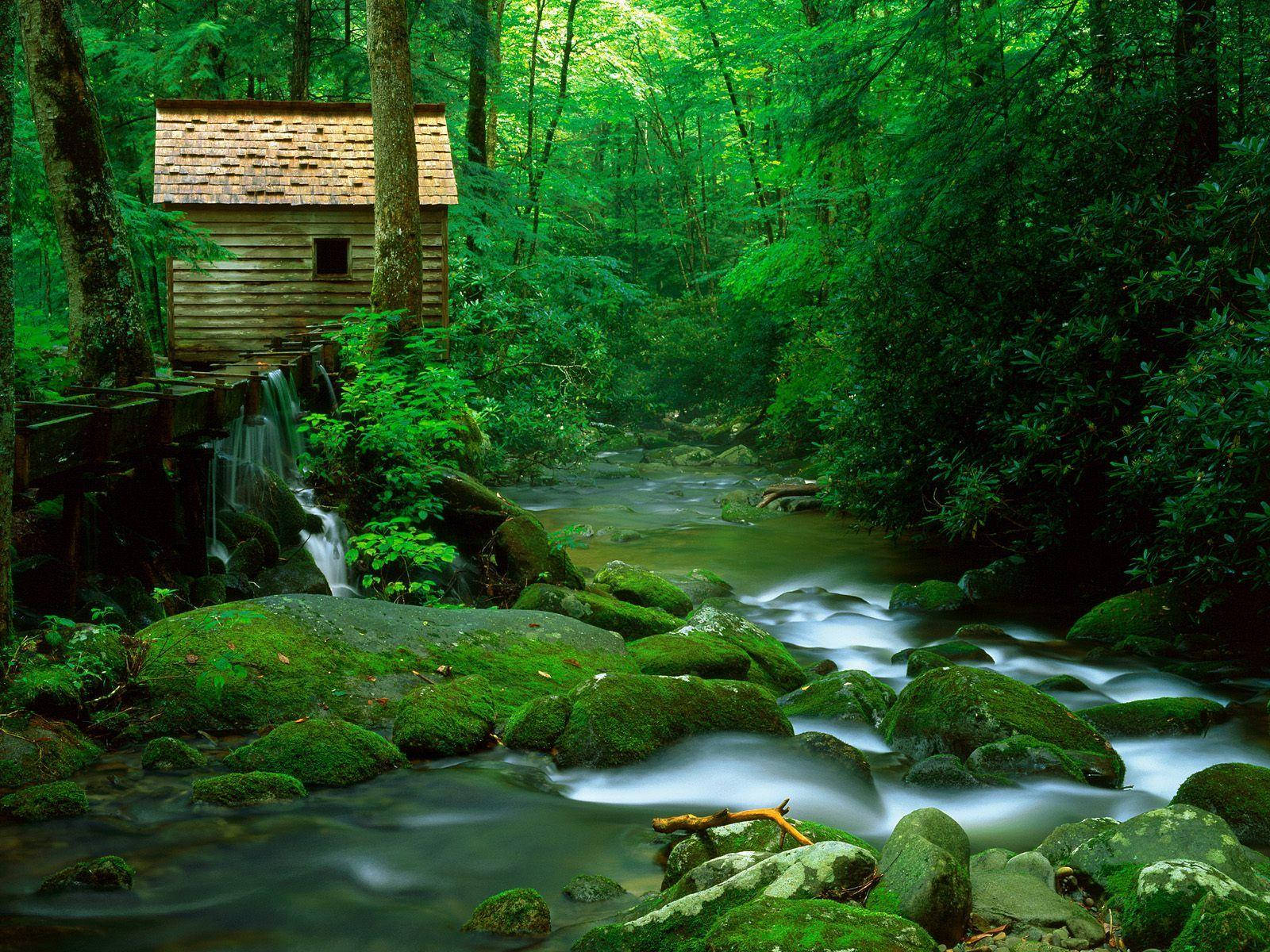 Image  Magnificent View of the Great Smoky Mountains Wallpaper