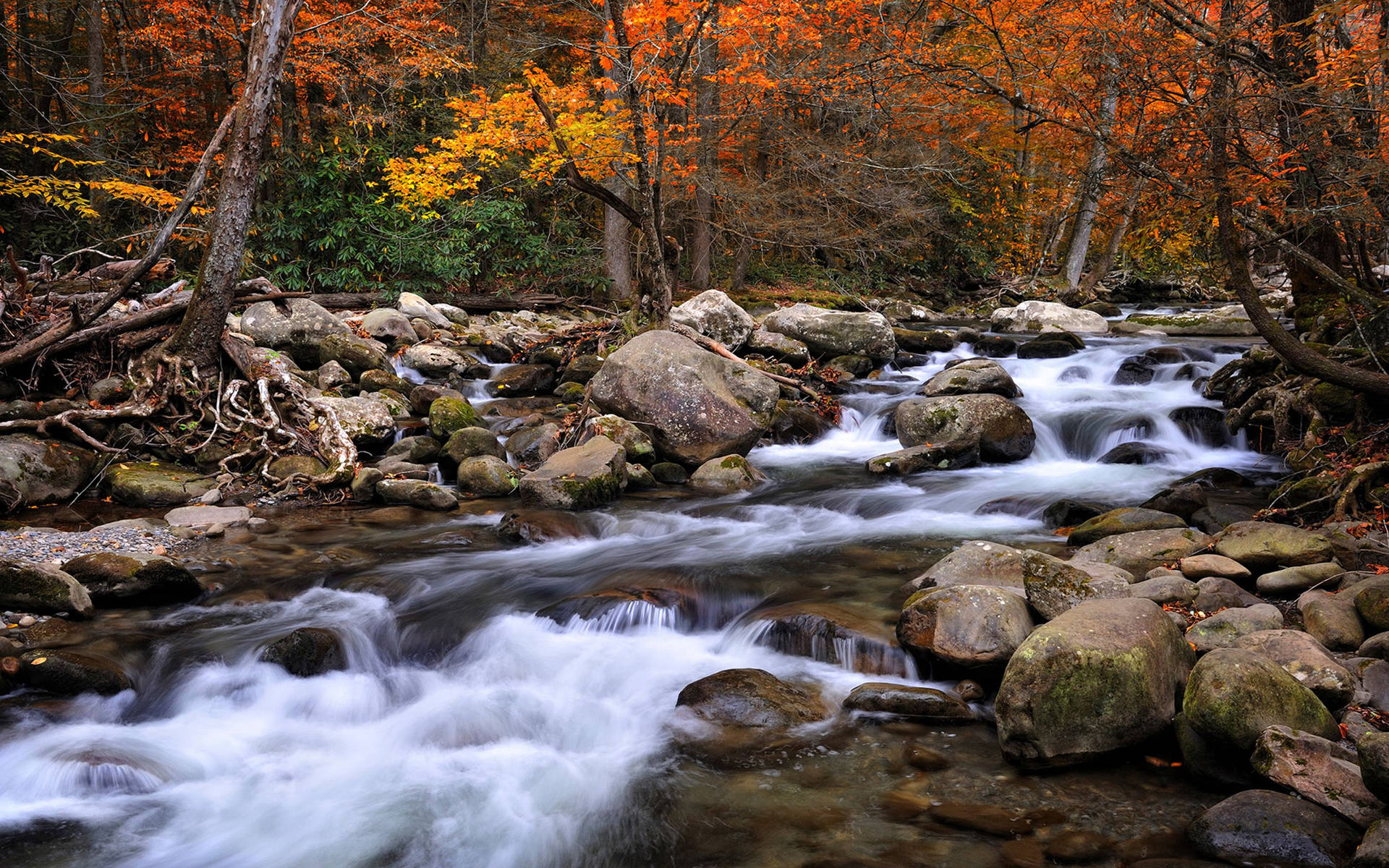 Enjoy The Majestic Beauty of the Great Smoky Mountains Wallpaper