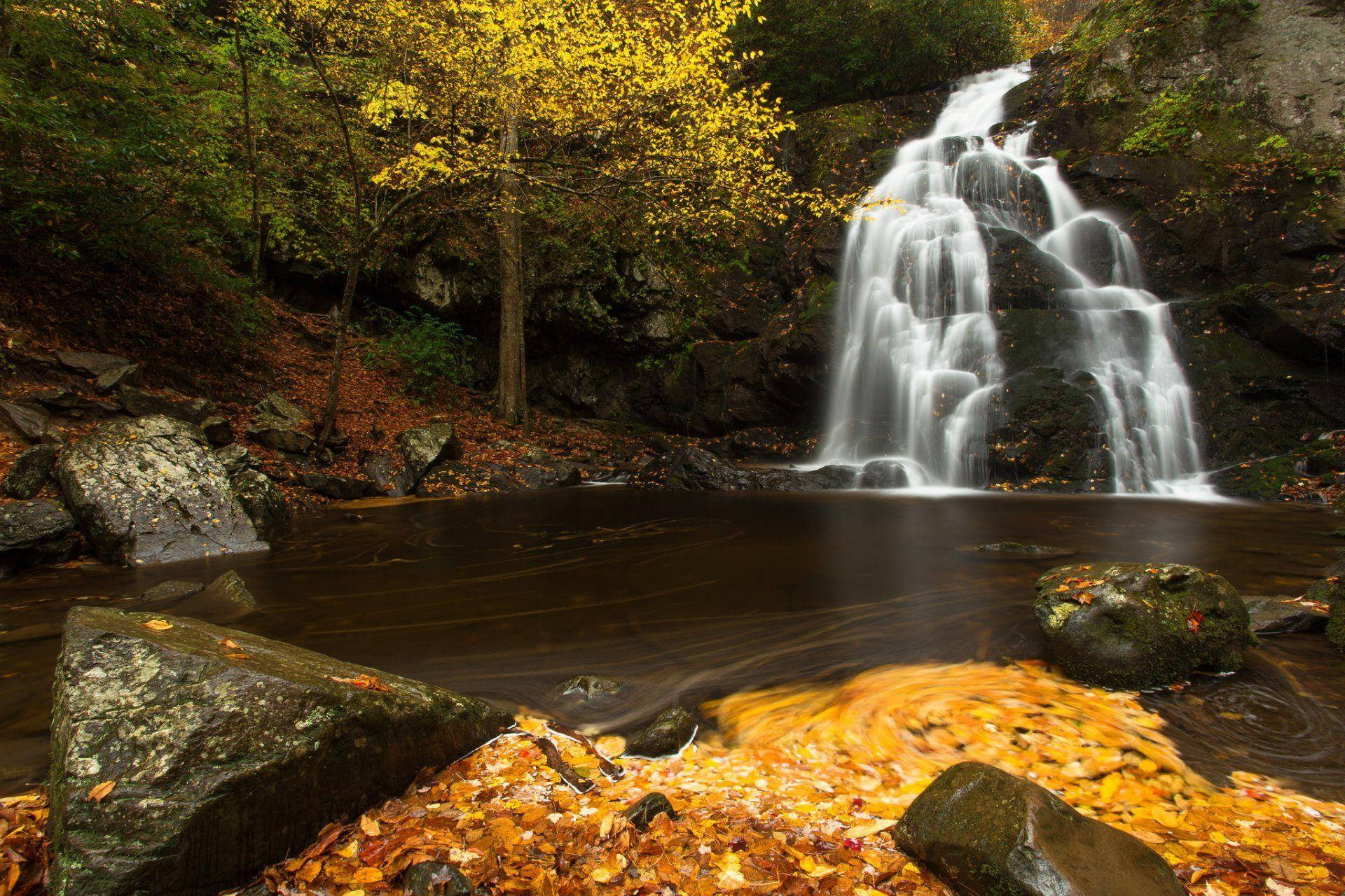 Explore the beauty of the Great Smoky Mountains Wallpaper