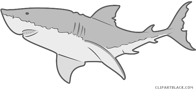 Great White Shark Illustration PNG