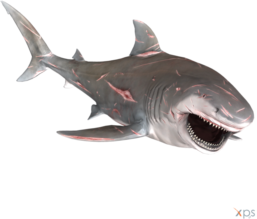 Great White Shark Open Mouth PNG