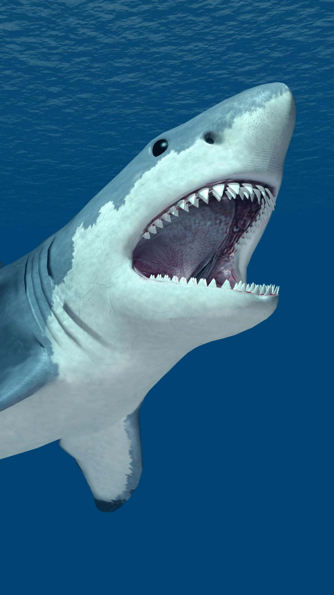 Kraftfuld stor hvid haj slapper af svømning i dybe blå farvande