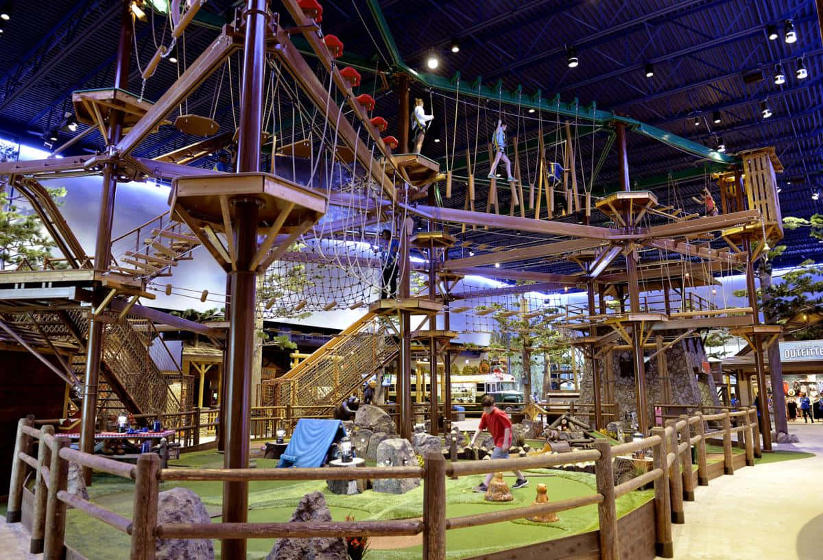 A Large Indoor Playground With A Large Tree