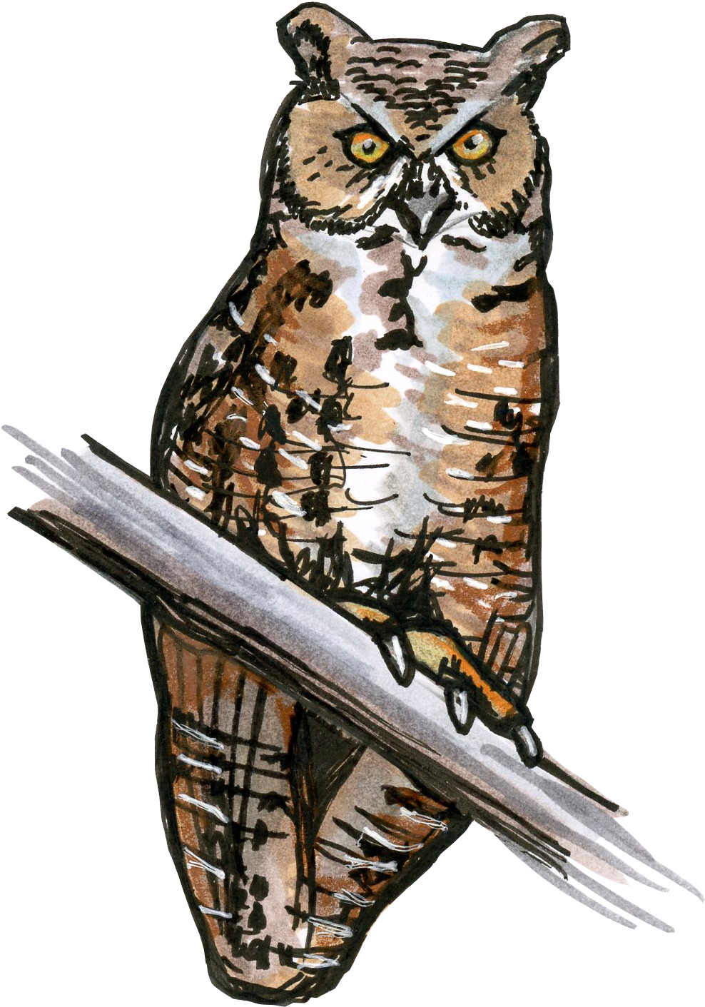 Great_ Horned_ Owl_ Illustration.png PNG