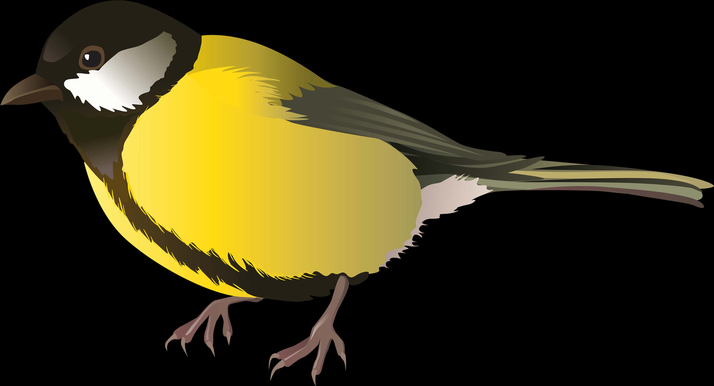 Great_ Tit_ Illustration_ Vector PNG