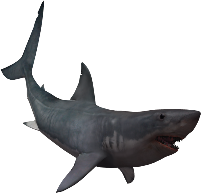 Great_ White_ Shark_ Swimming PNG