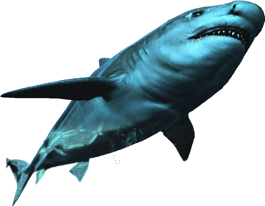 Great_ White_ Shark_ Underwater PNG