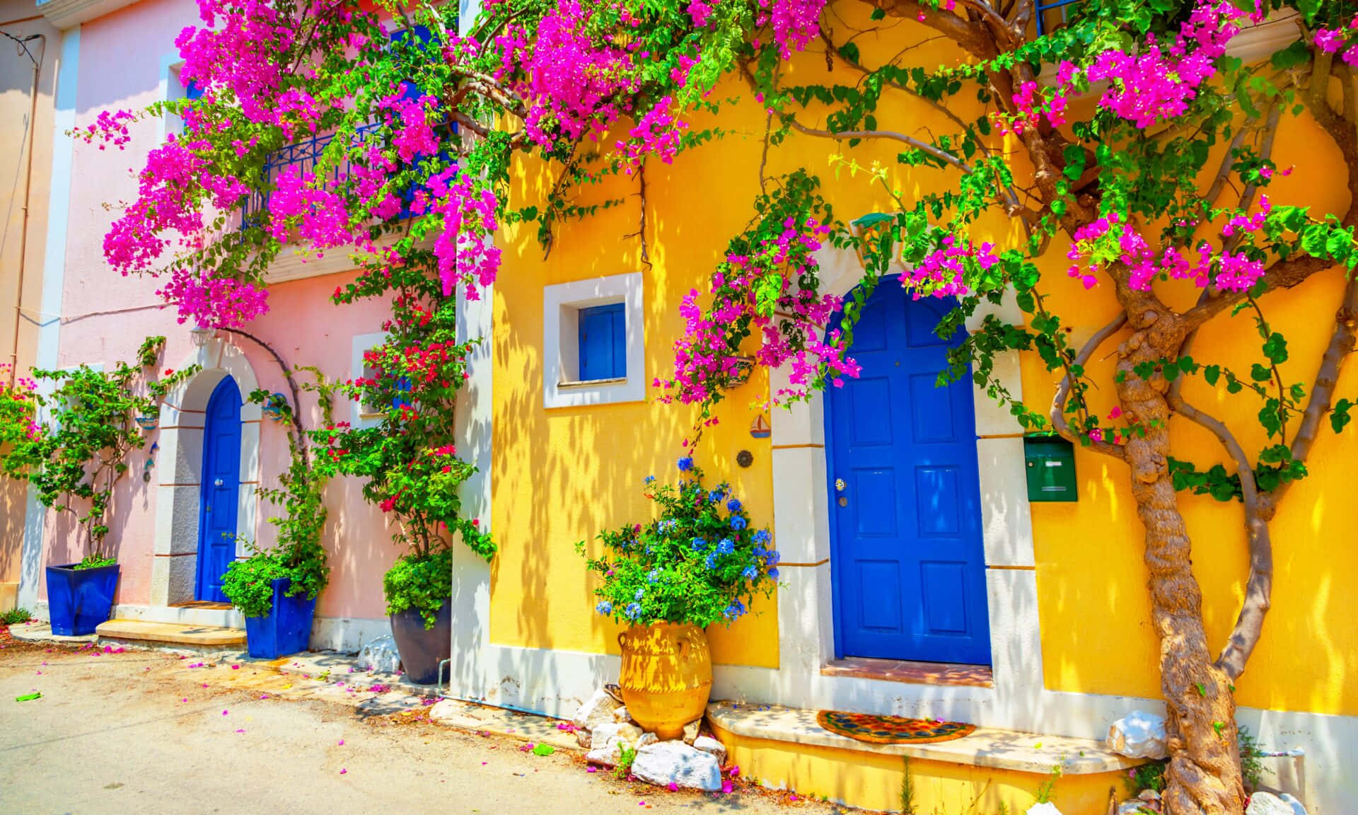 Colorful Houses With Flowers And Blue Doors