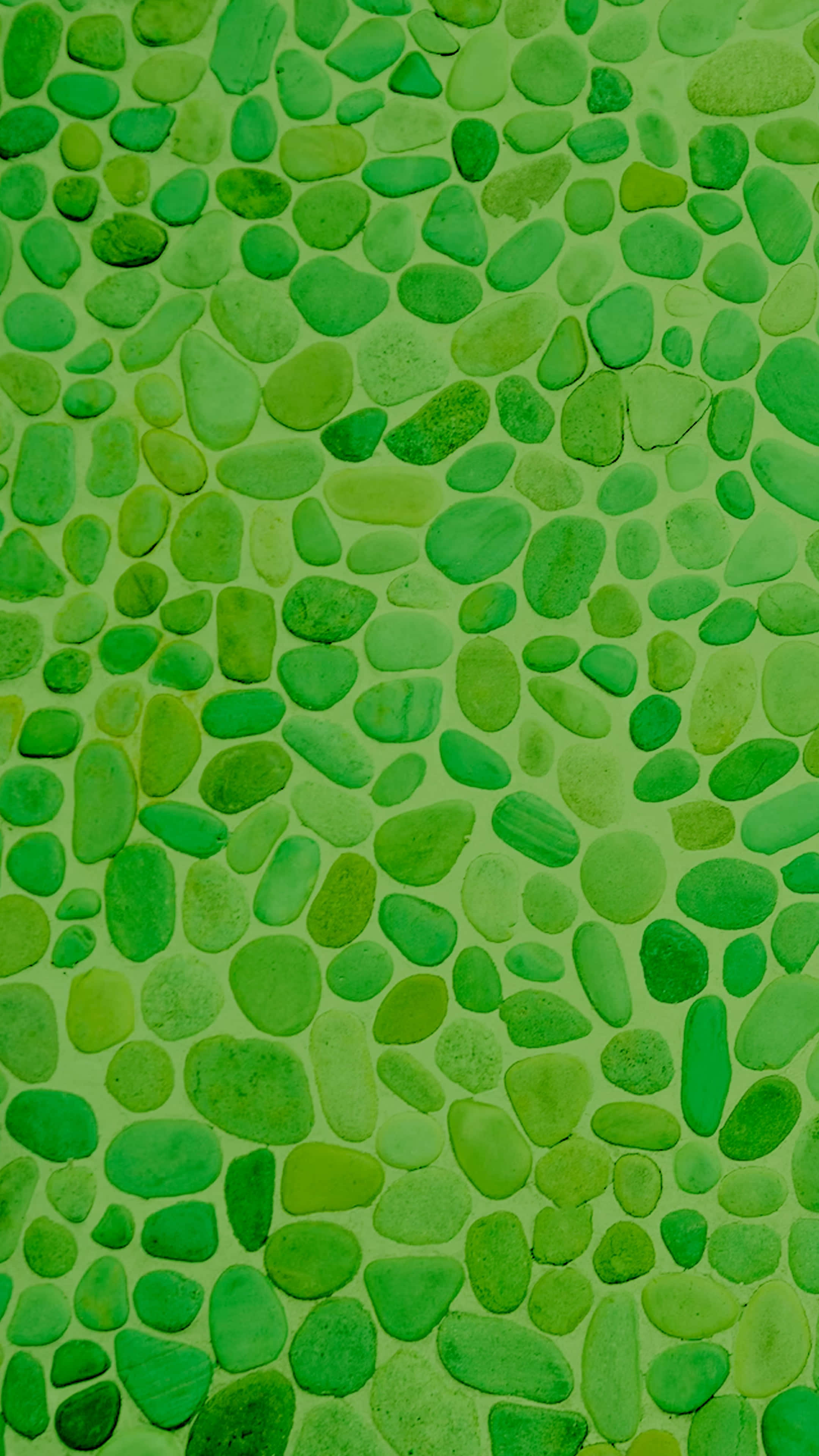 Green 2160 X 3840 Background