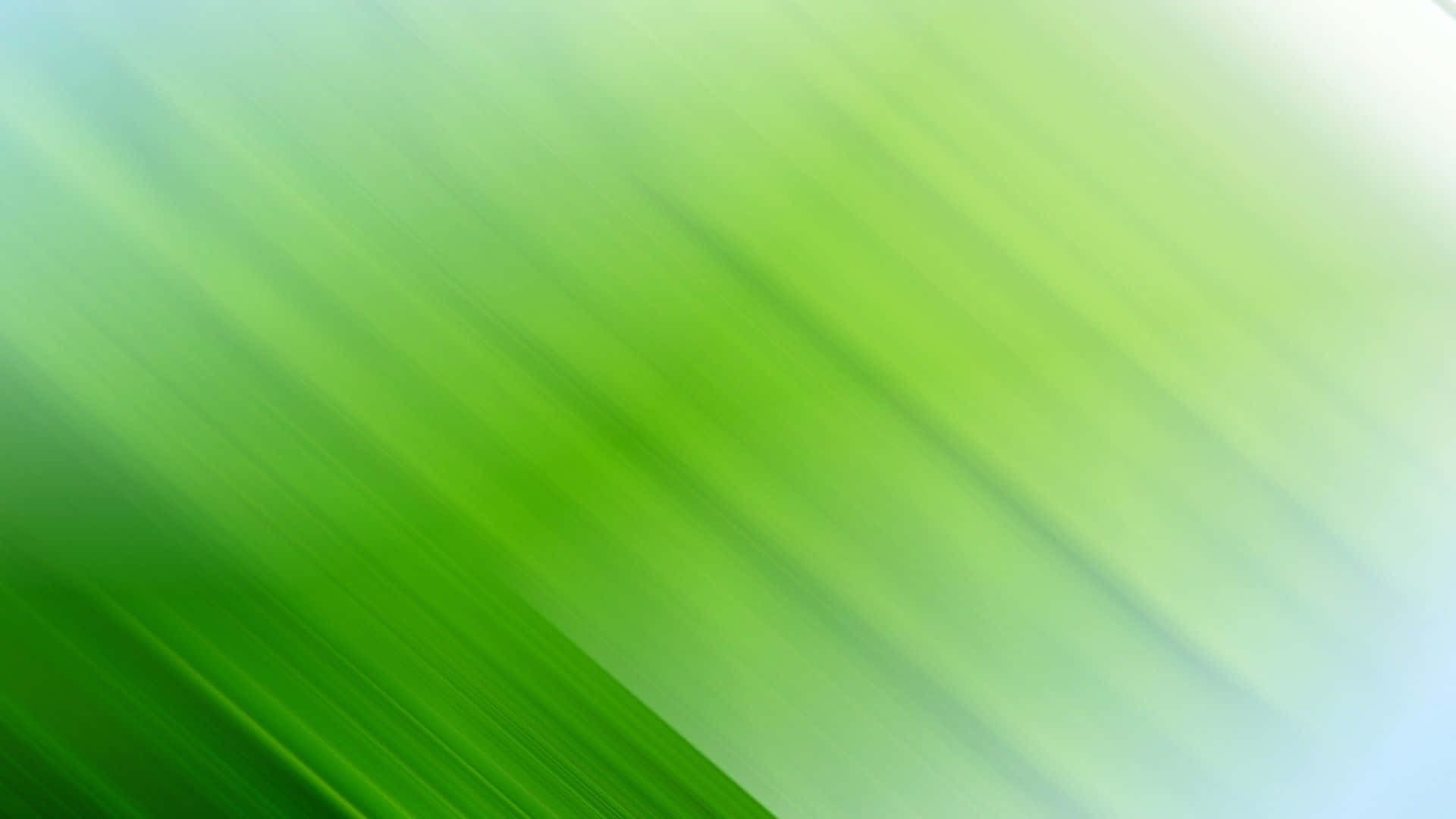 Förbluffandesmaragdgrön Abstrakt Bakgrund