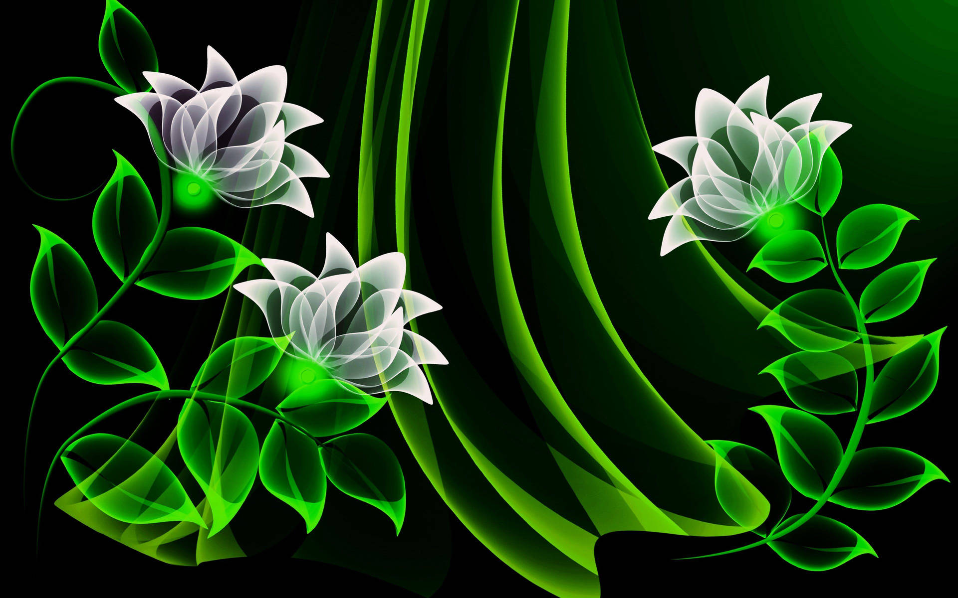 Green Abstract Of White Flowers