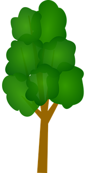 Green Abstract Tree Vector PNG