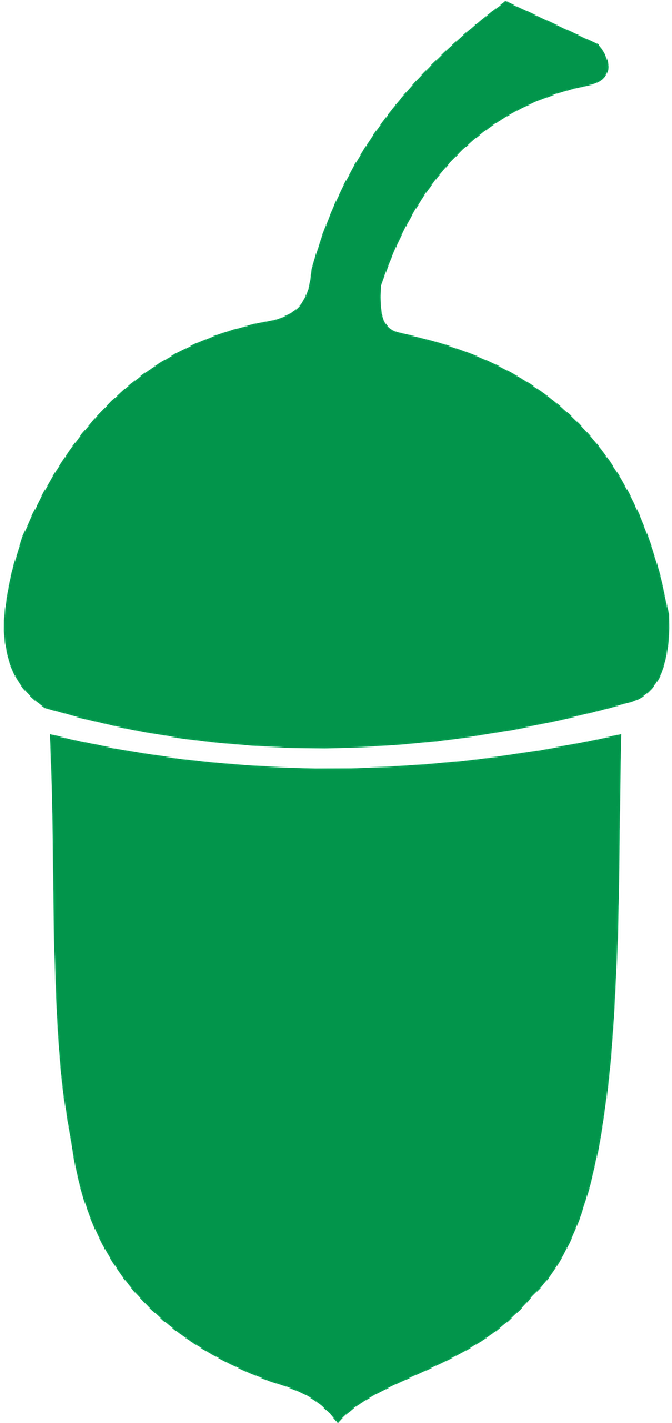 Green Acorn Icon PNG