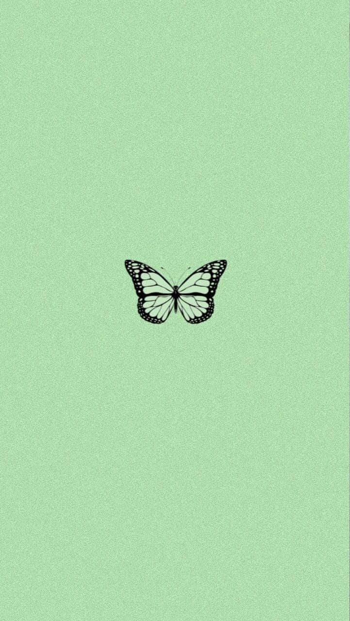 Green Aesthetic Butterfly Wallpaper Wallpaper