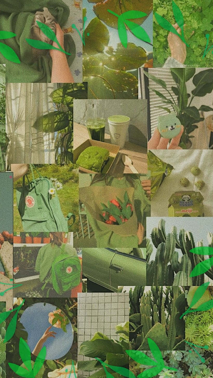 Green Aesthetic Collage Wallpaper Wallpaper
